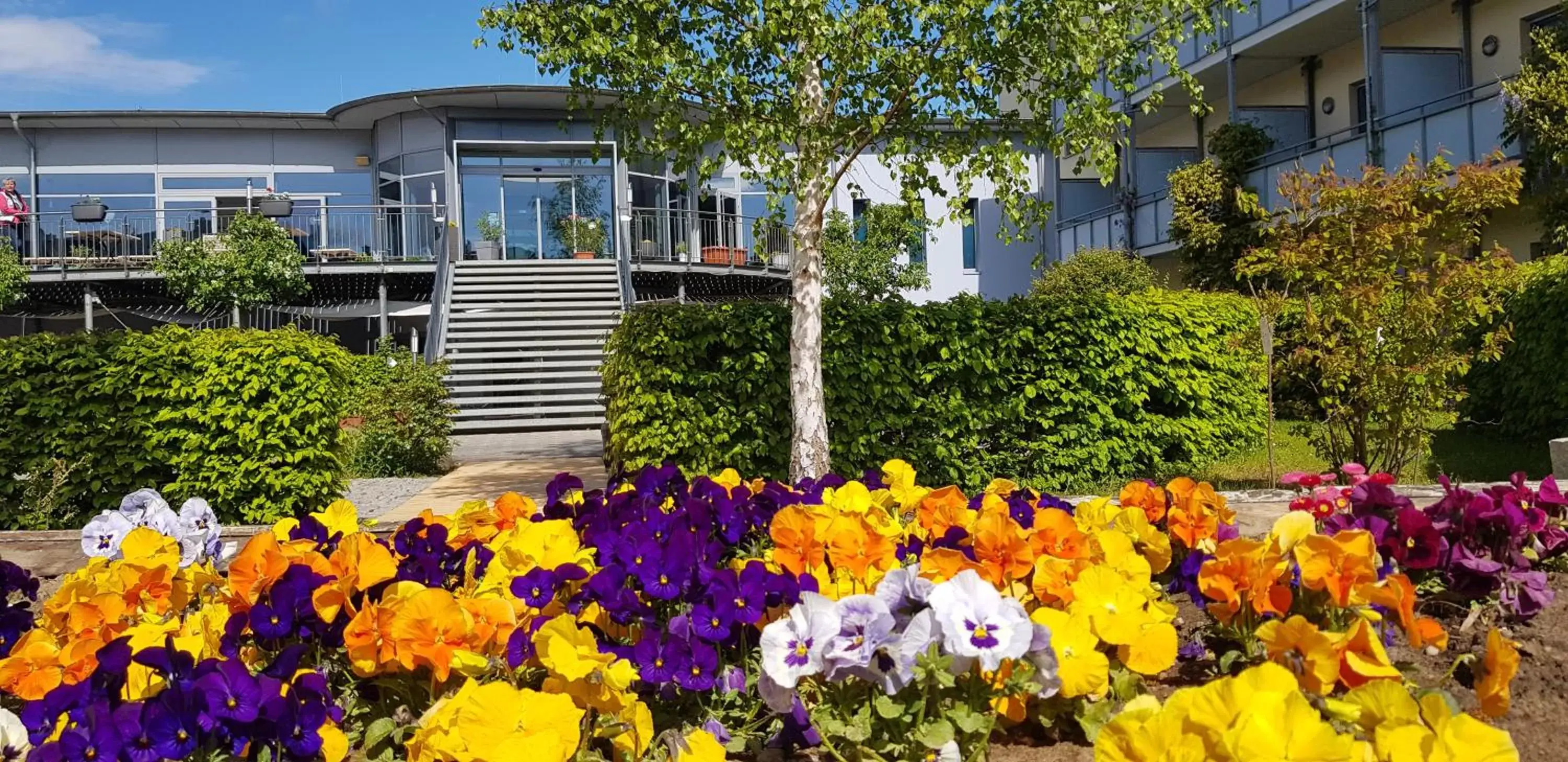 Müritz-Strandhotel Müritz-Strandhotel