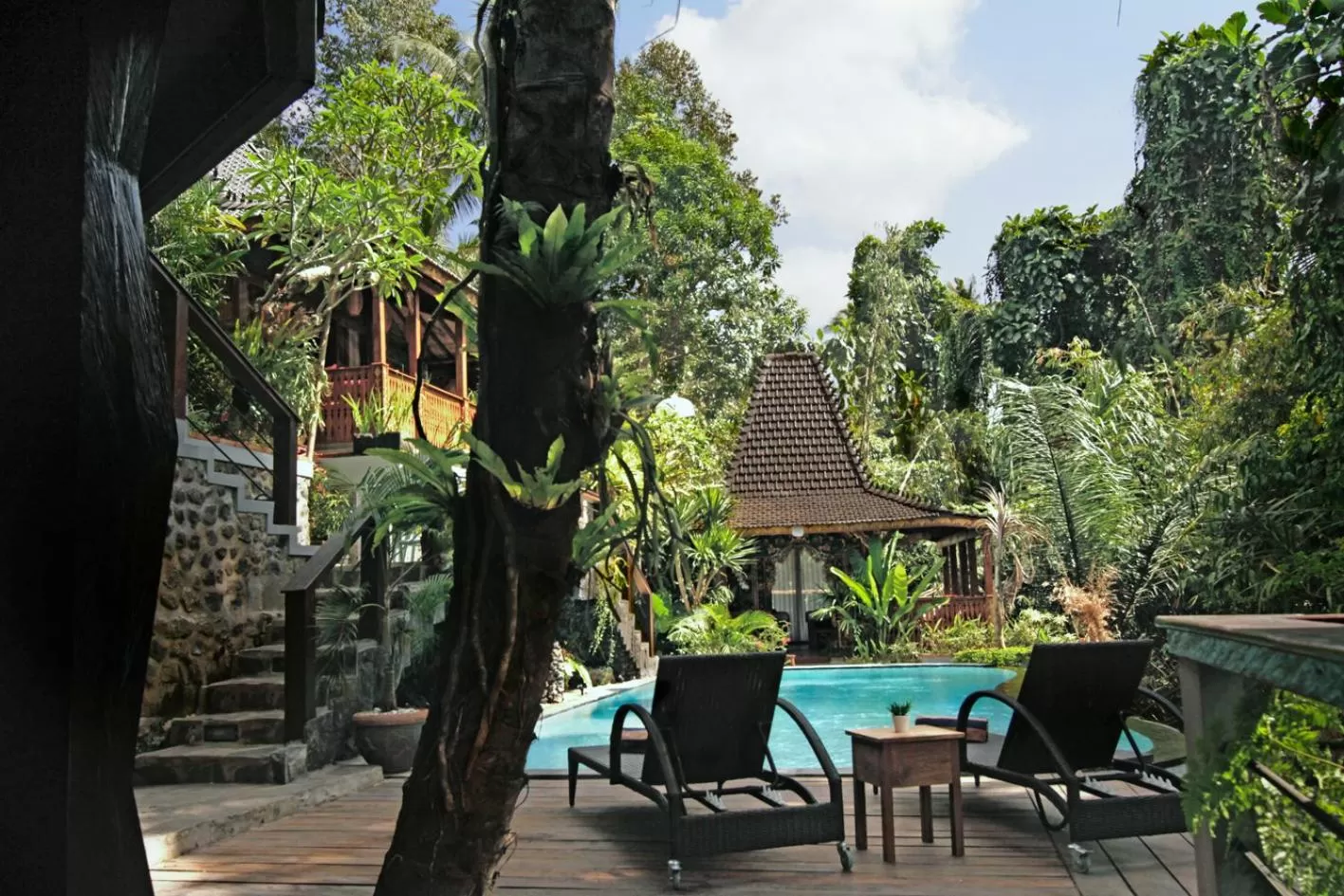 Swimming pool in Parvati Retreat Villas