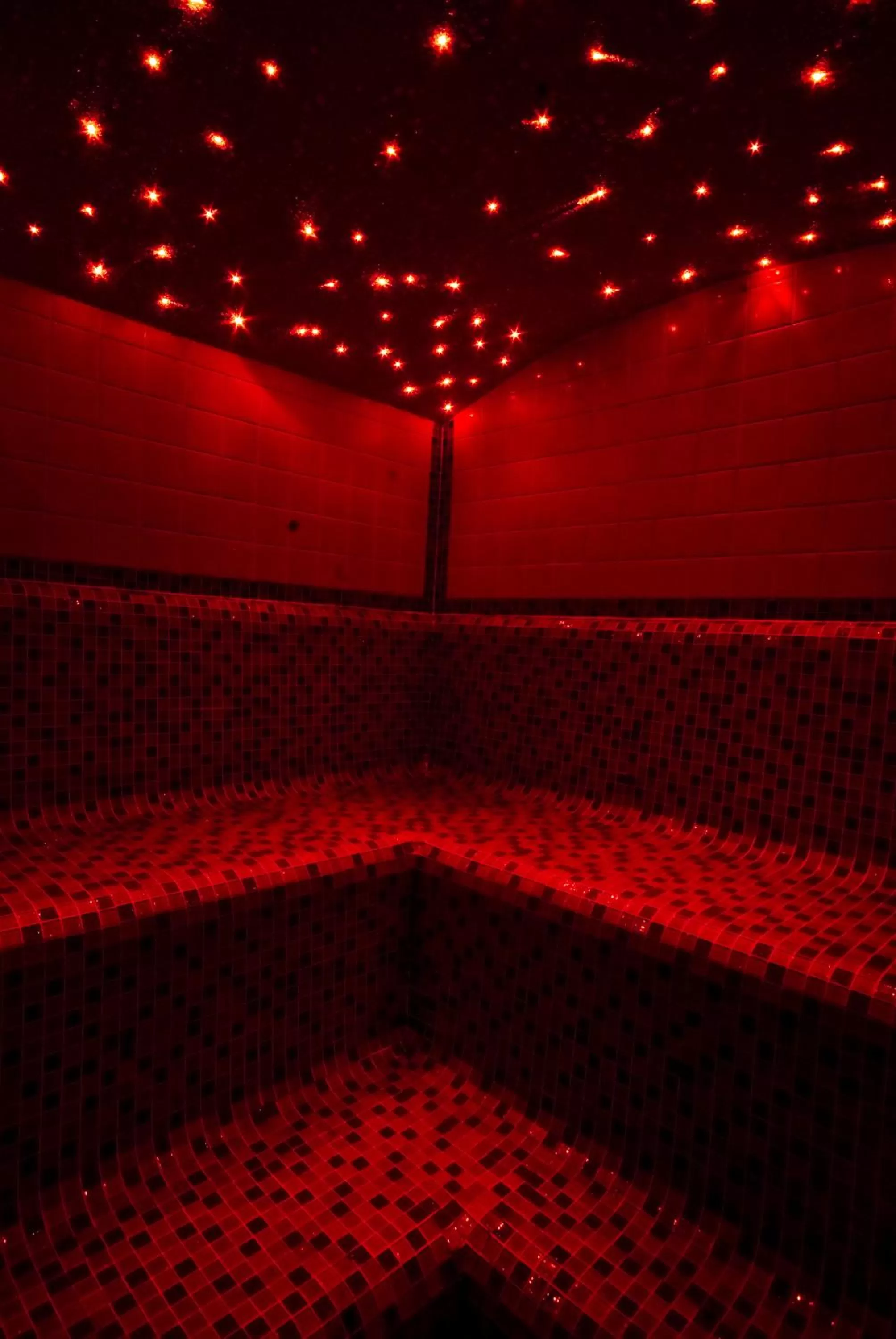 Spa and wellness centre/facilities in Hotel Horal