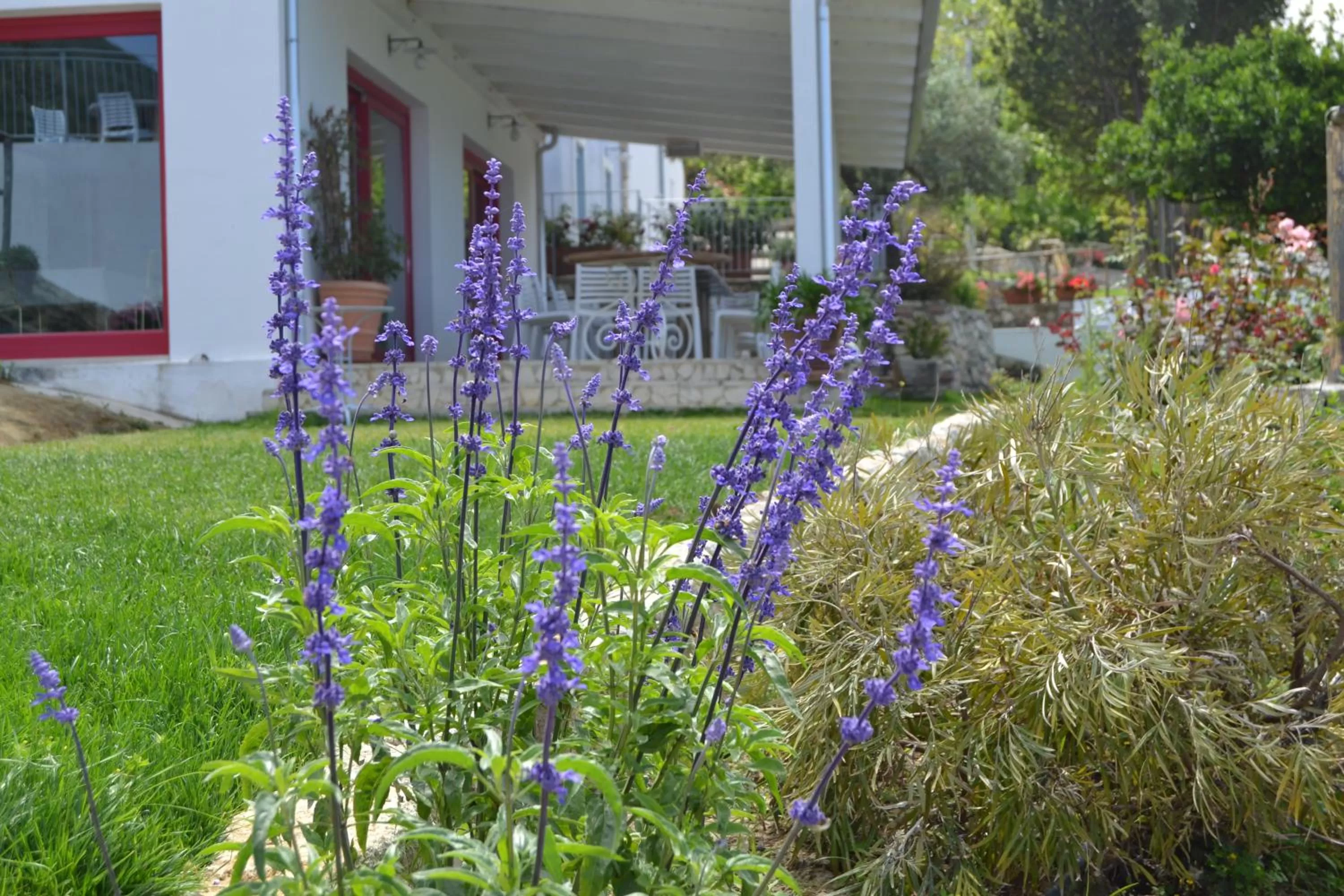 Restaurant/places to eat in Borgo Rosso di Sera - Resort Country Chic