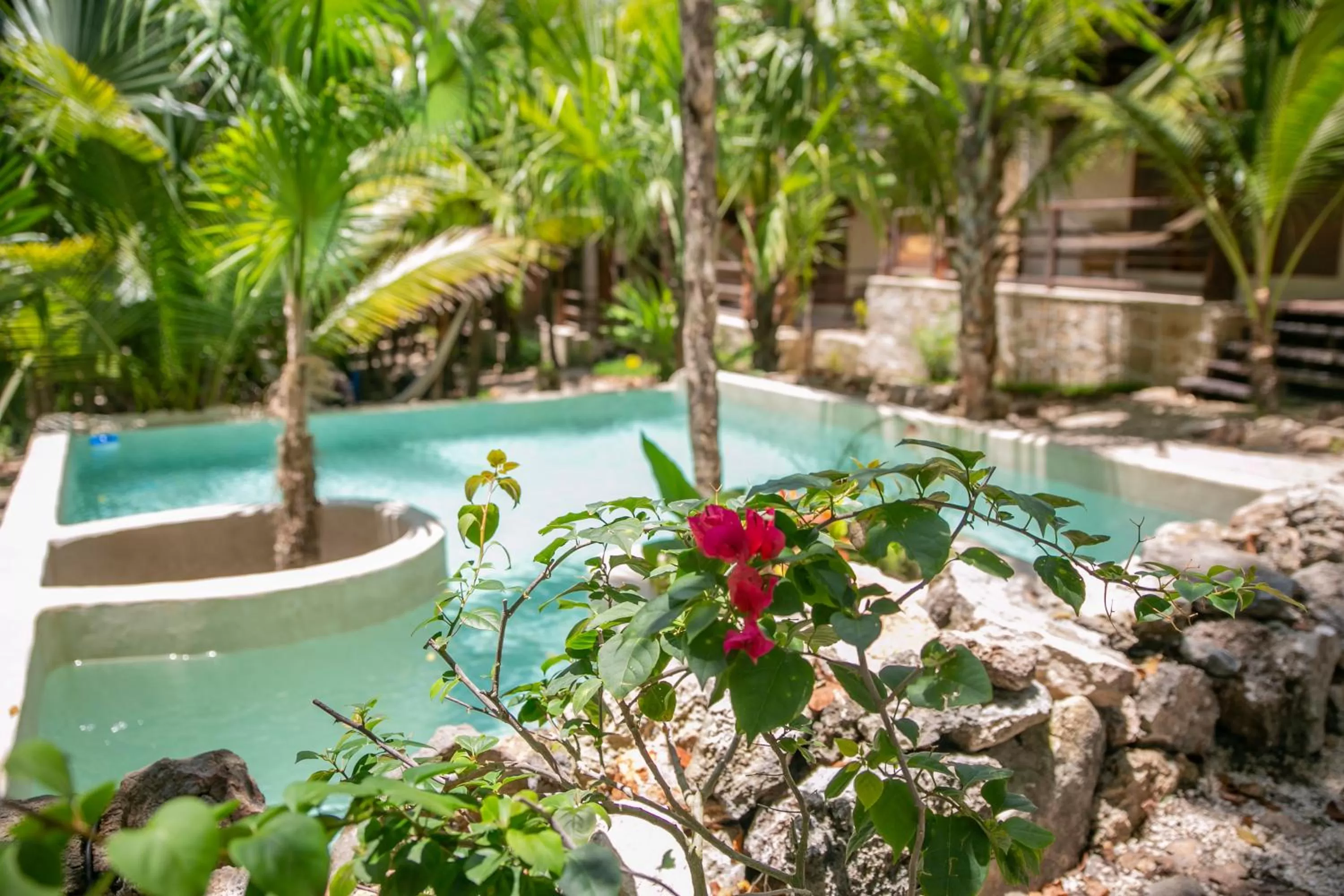 Pool view in Hotel Buenavista Bacalar Jungle Experience