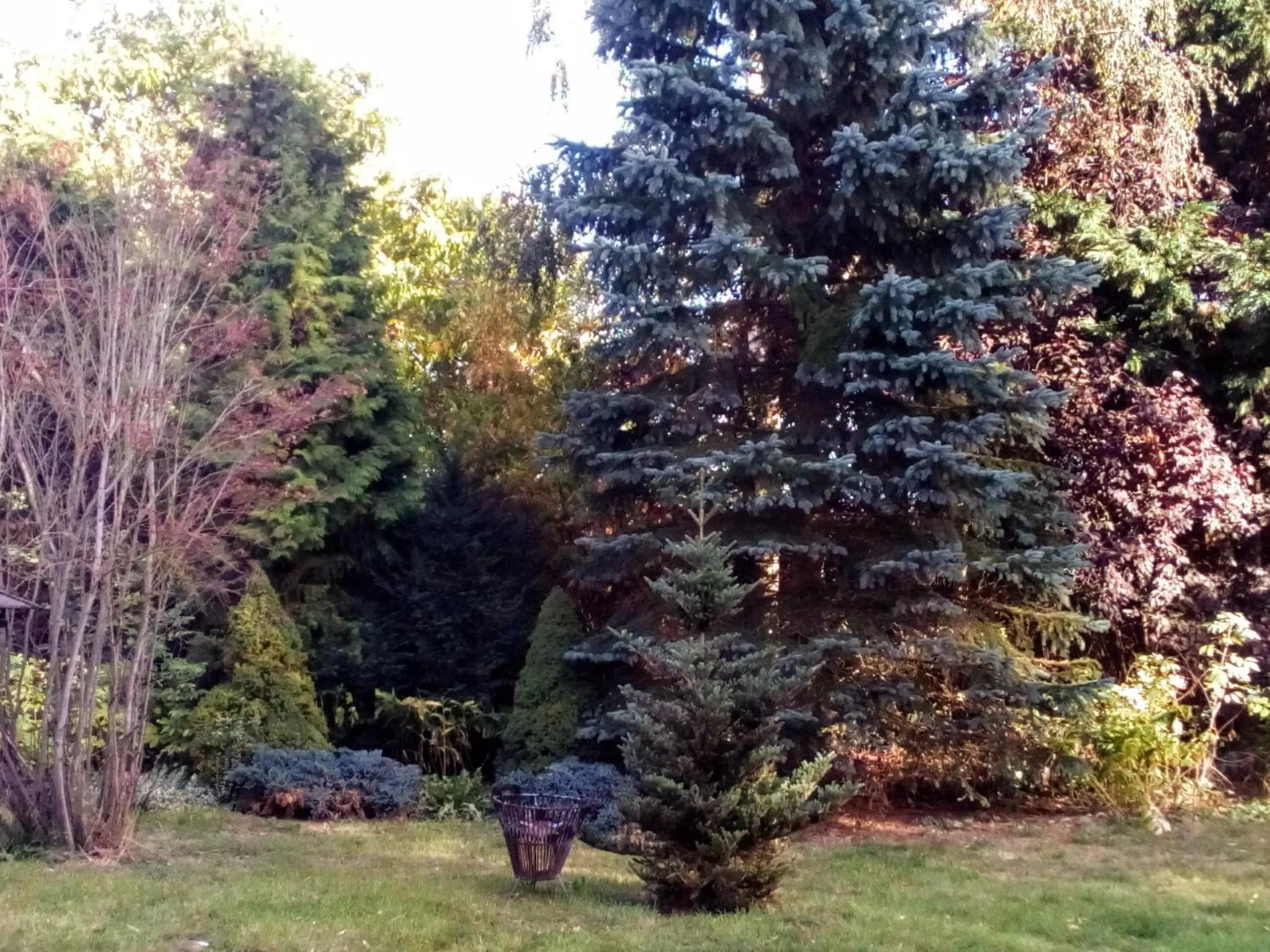 Hotel Leppiner Hof - B&B FRÜHSTÜCKSPENSION