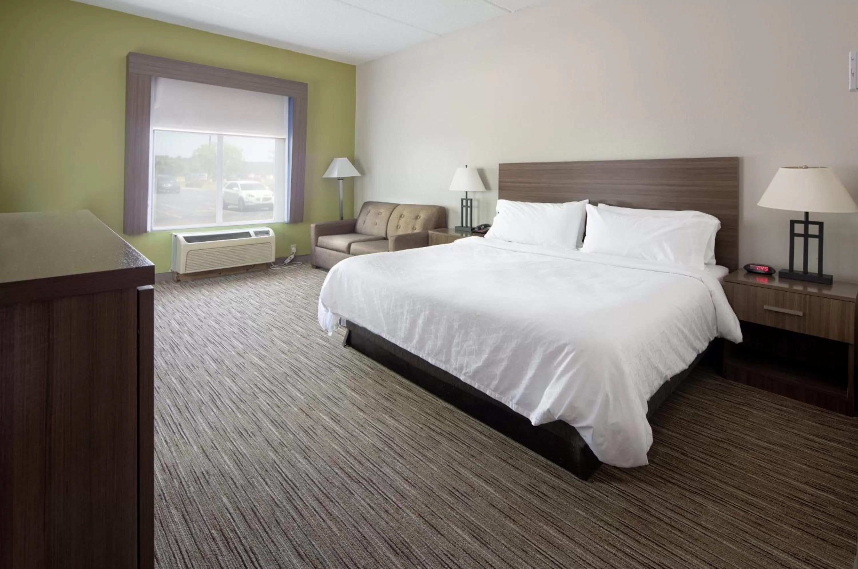 Standard  Room in Holiday Inn Express Hotel & Suites Chattanooga-Lookout Mountain, an IHG Hotel