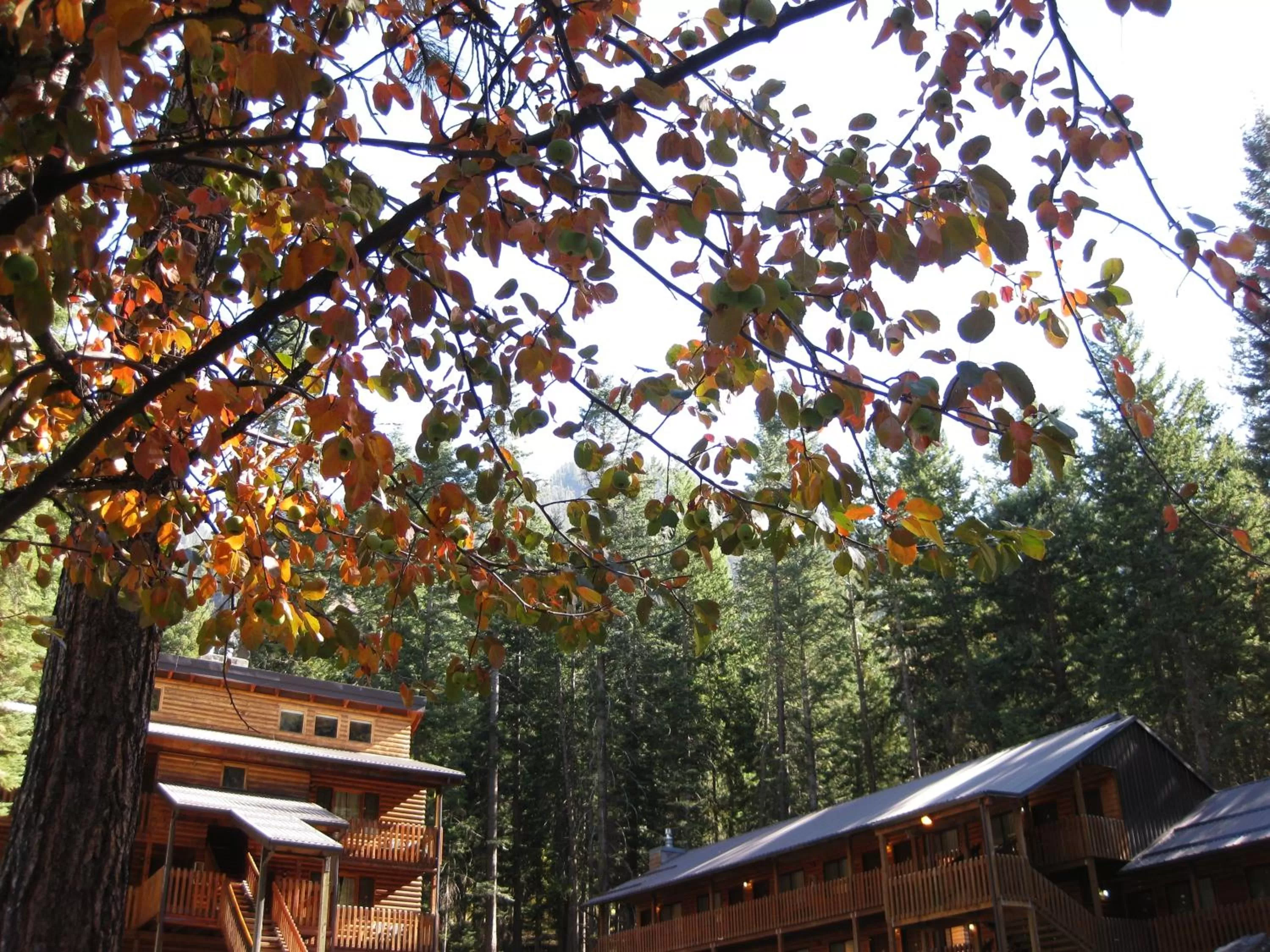 Balcony/Terrace in Eagle Cap Chalets