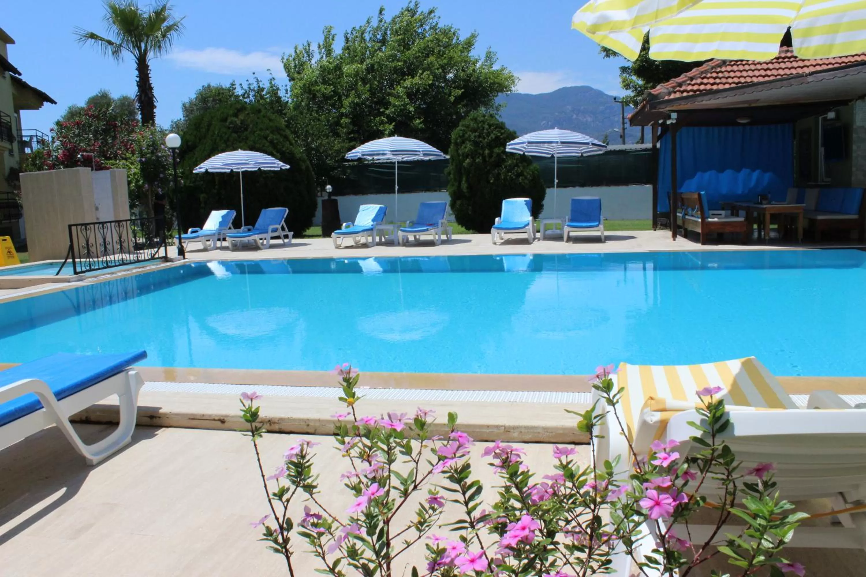 Swimming pool in Summer Life Villa Apart