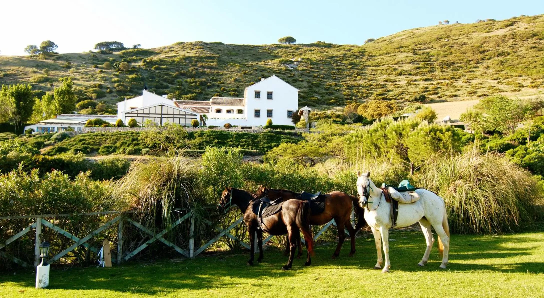 Facade/entrance in Hotel Fuente del Sol
