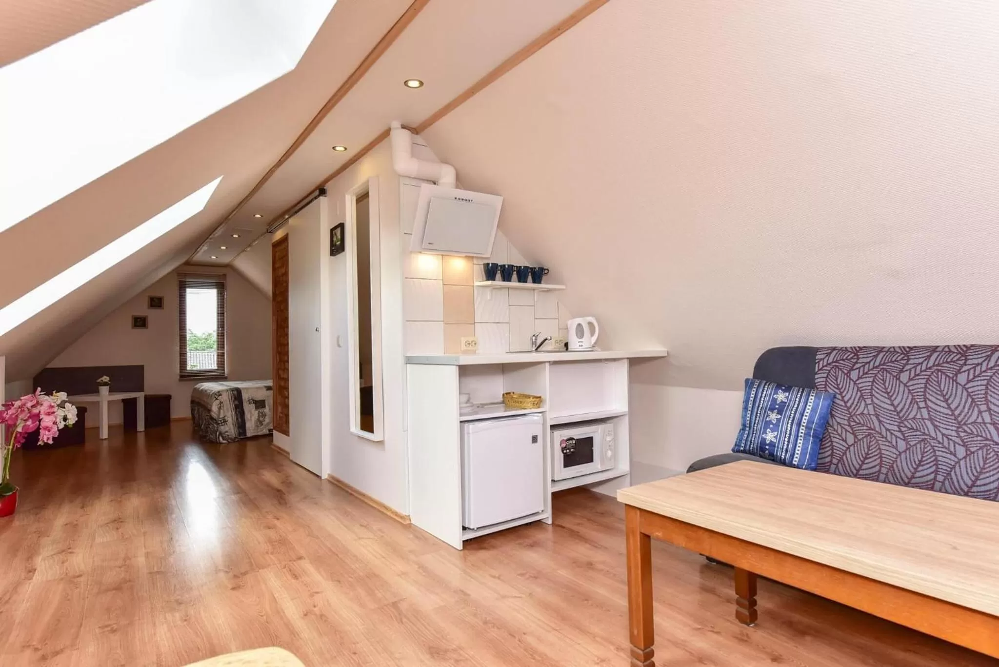 Kitchen or kitchenette, Kitchen/Kitchenette in "Trakaitis" nameliai