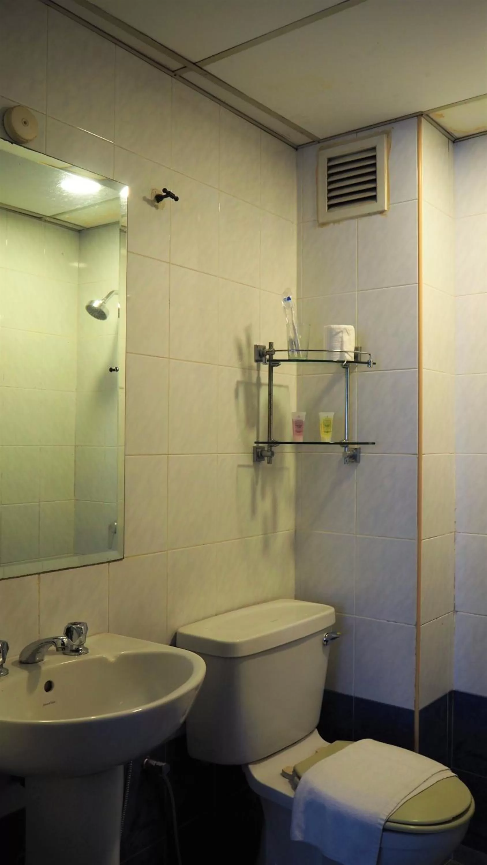 Toilet in Leo Palace Hotel Classic Wing, WTC Kuala Lumpur