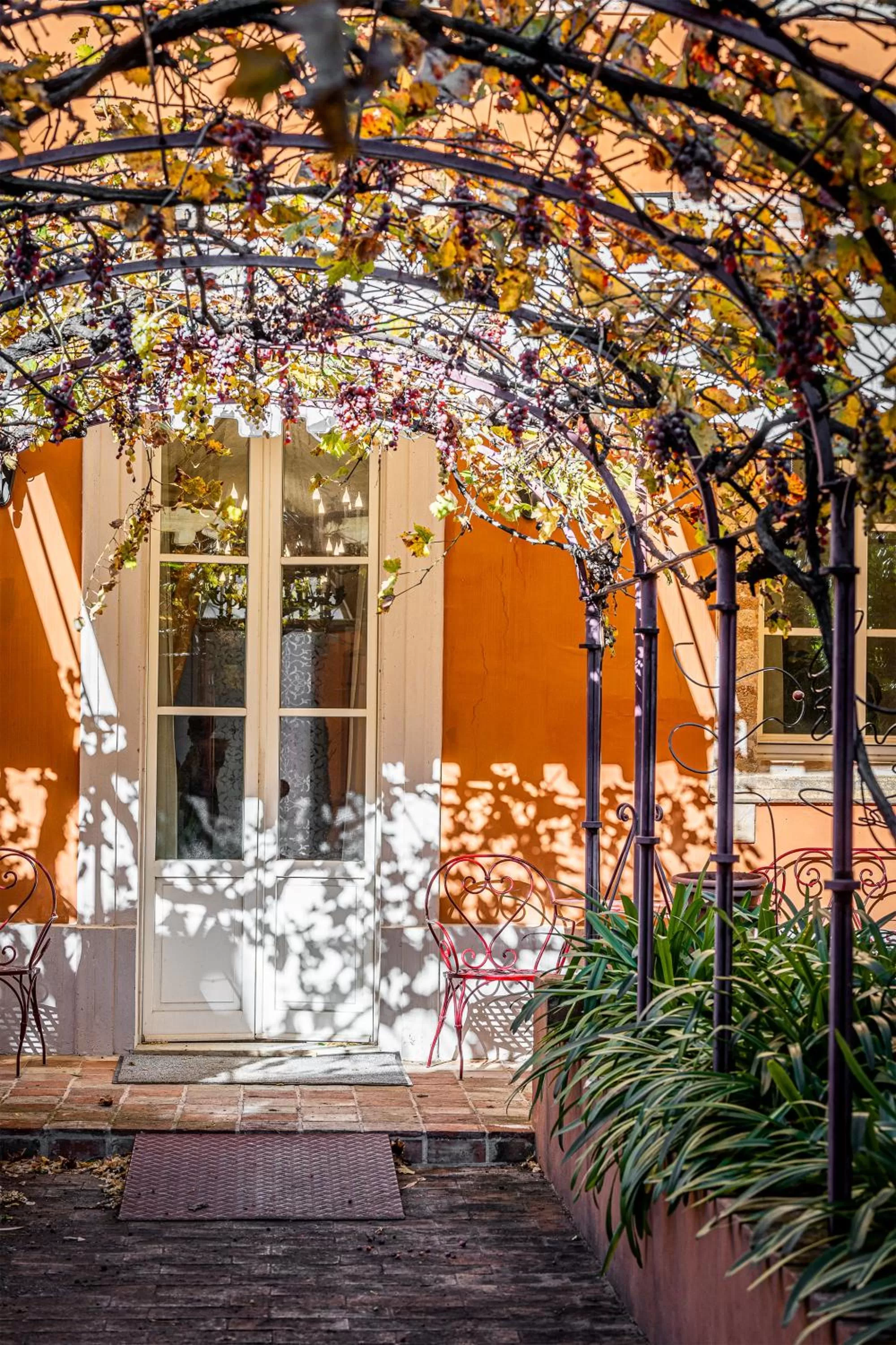 Garden in Dimora Villa Ricci
