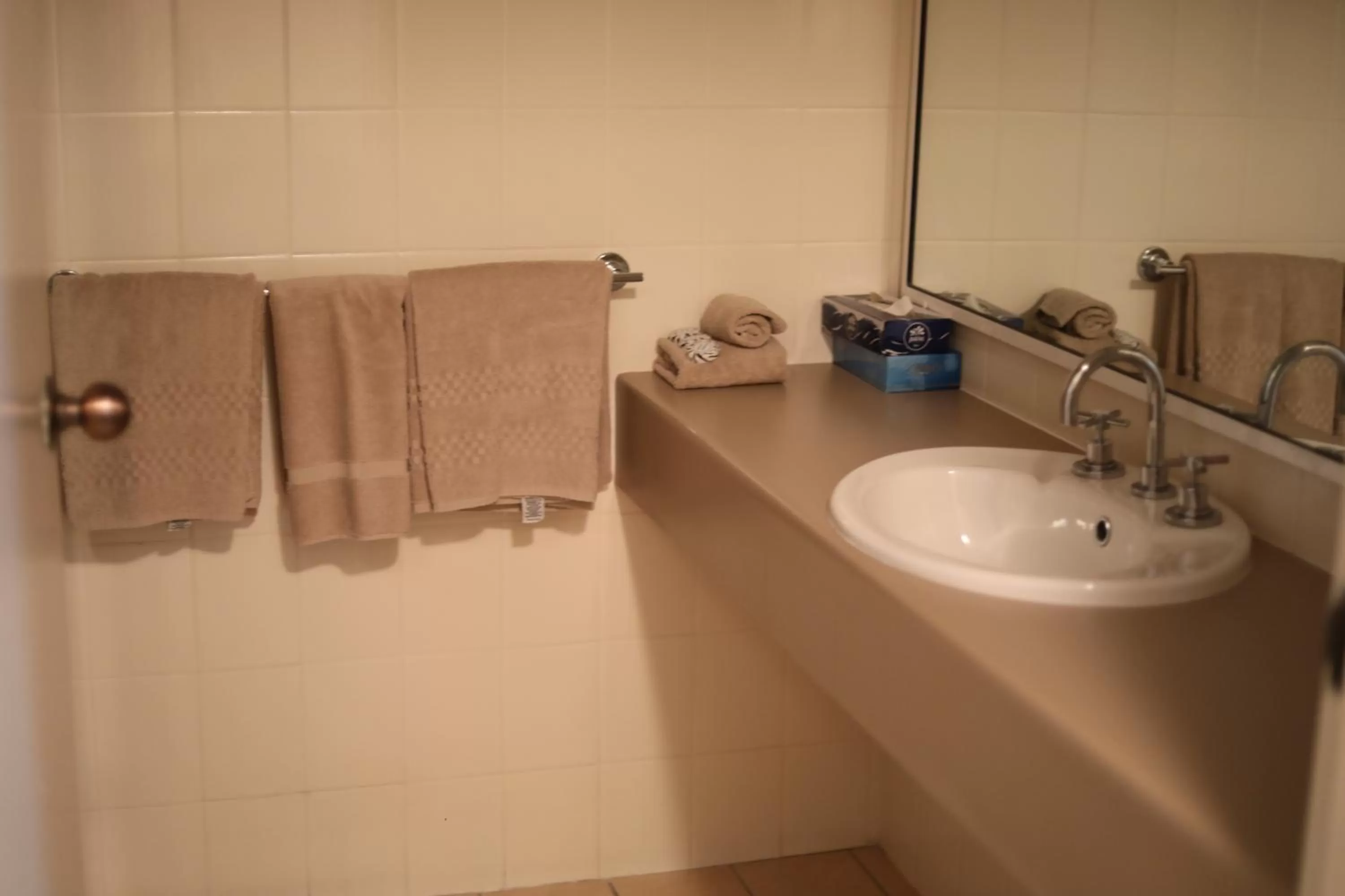 Bathroom in All Settlers Motor Inn Parkes