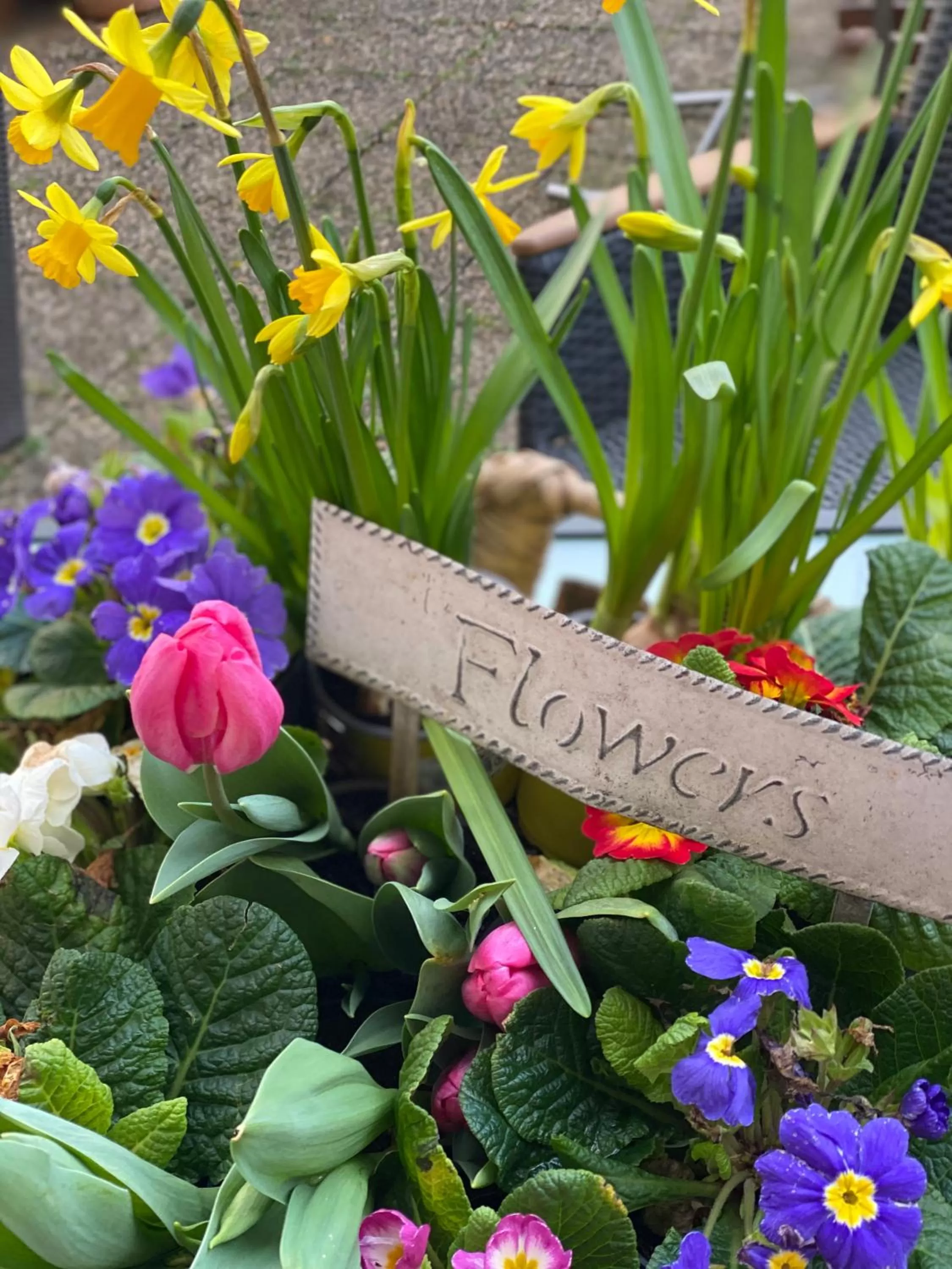 Garden view in Hotel Cascade Superior