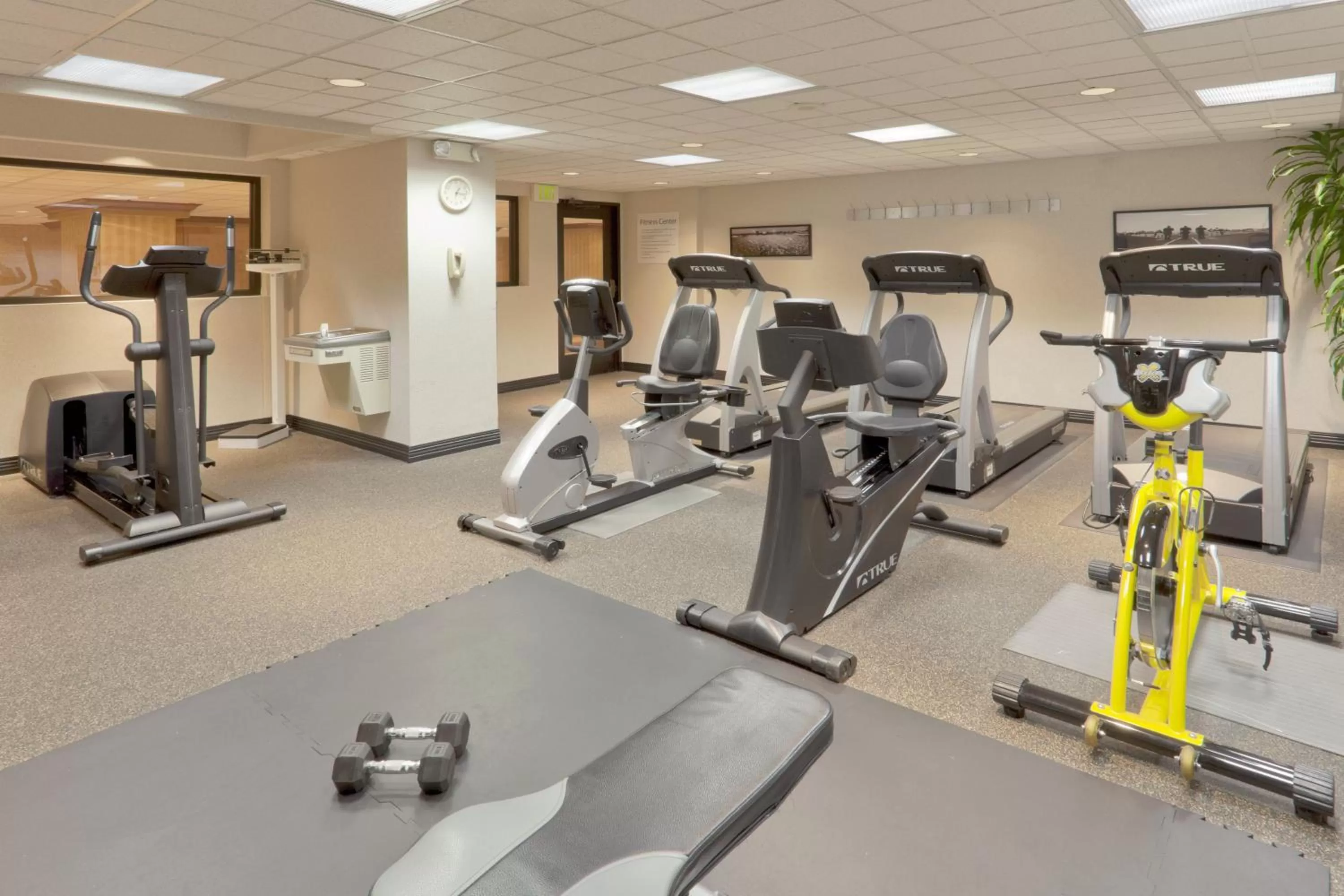 Fitness centre/facilities in Holiday Inn Sacramento Downtown-Arena by IHG