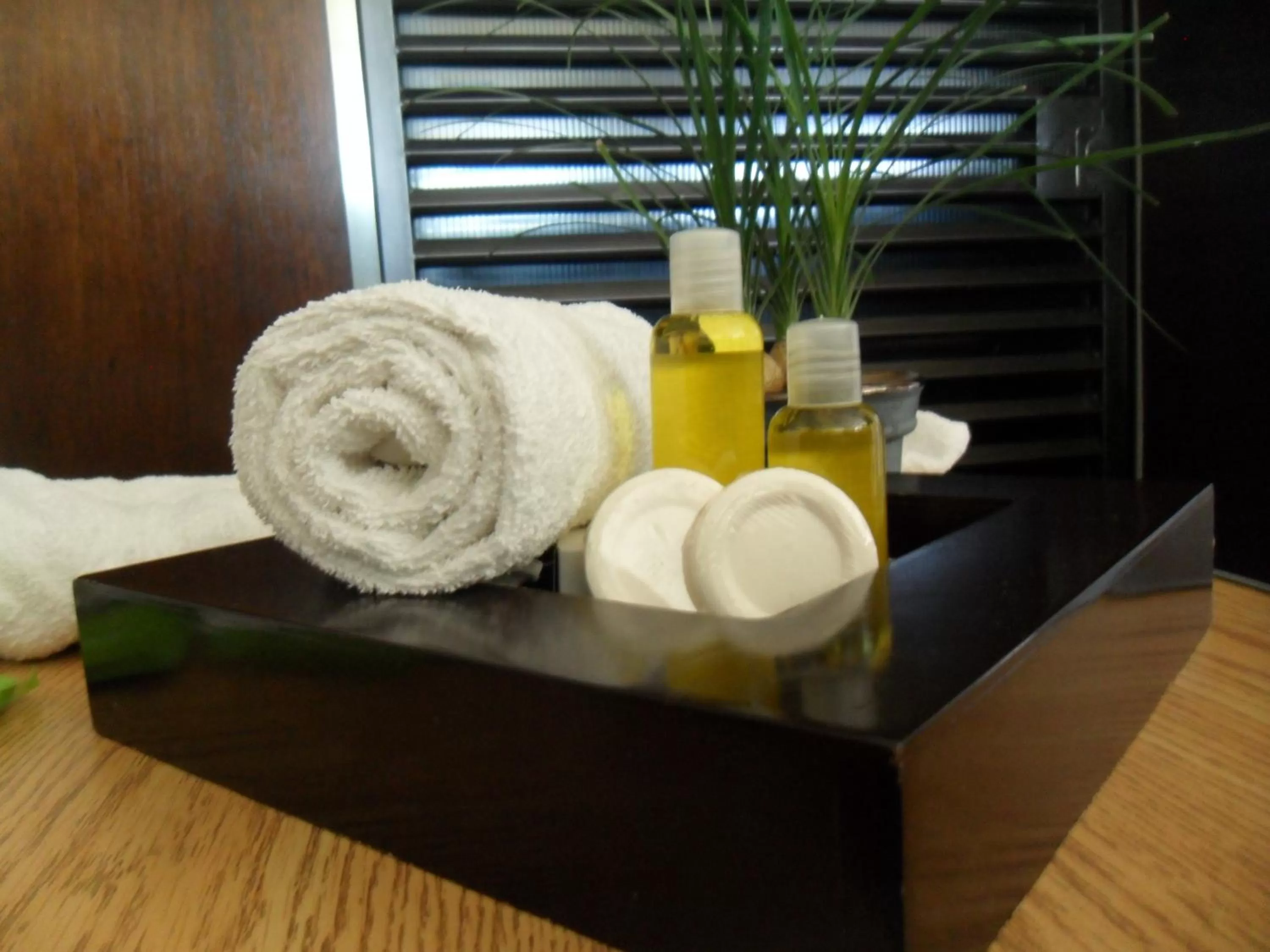 Toilet in Hotel Suite Azomali