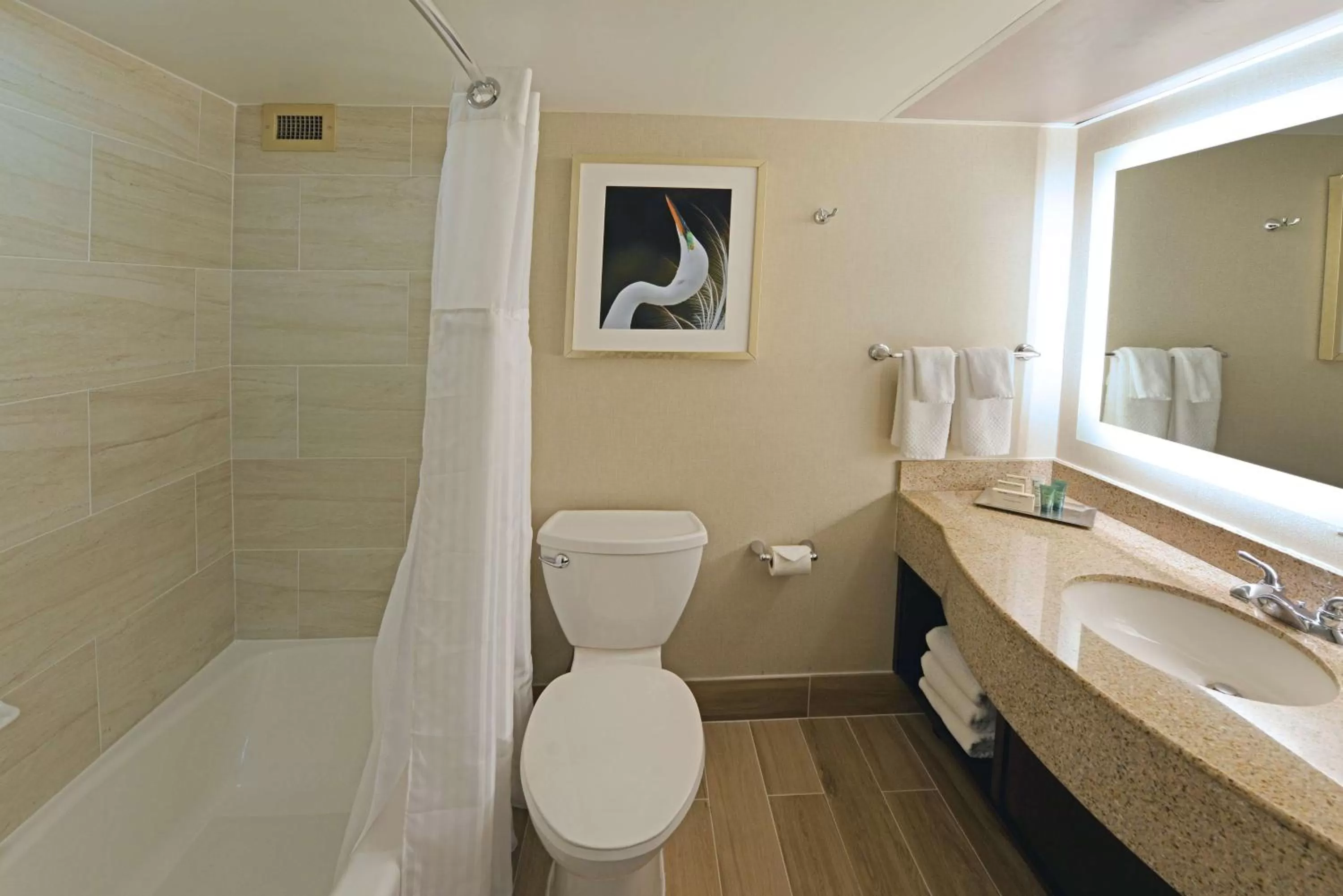 Bathroom in Hilton Orlando/Altamonte Springs