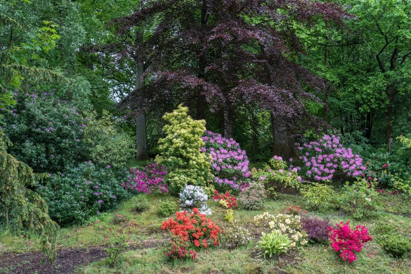 Garden in West Plean House