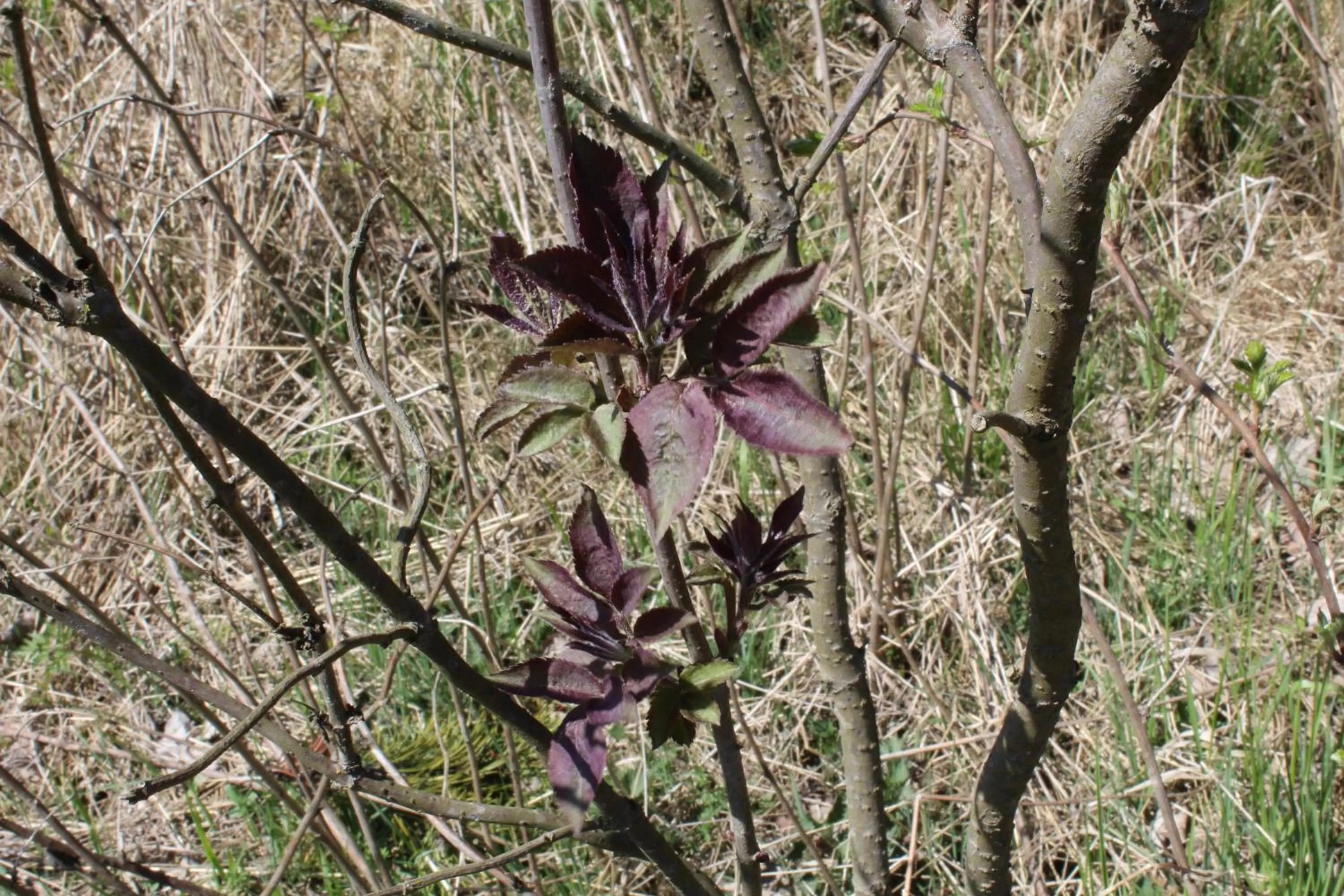 Natural Landscape in Waldgasthof Bad Einsiedel