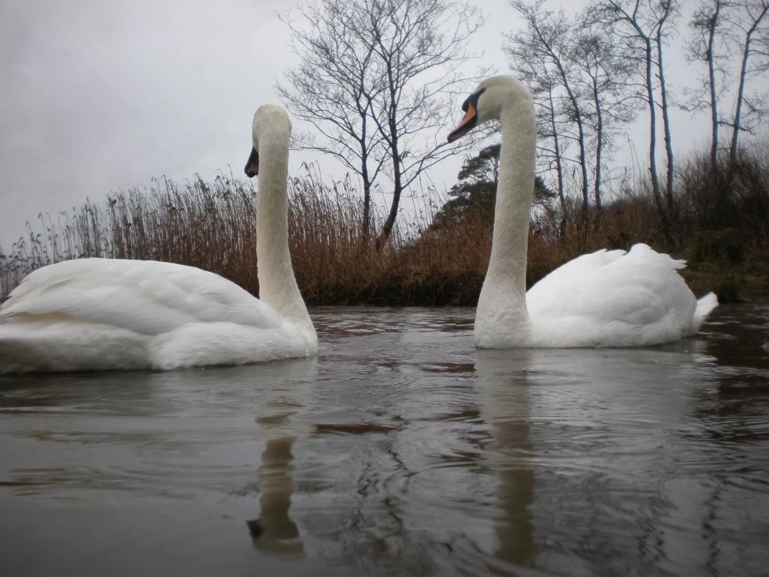 Area and facilities in Crystal Springs B&B