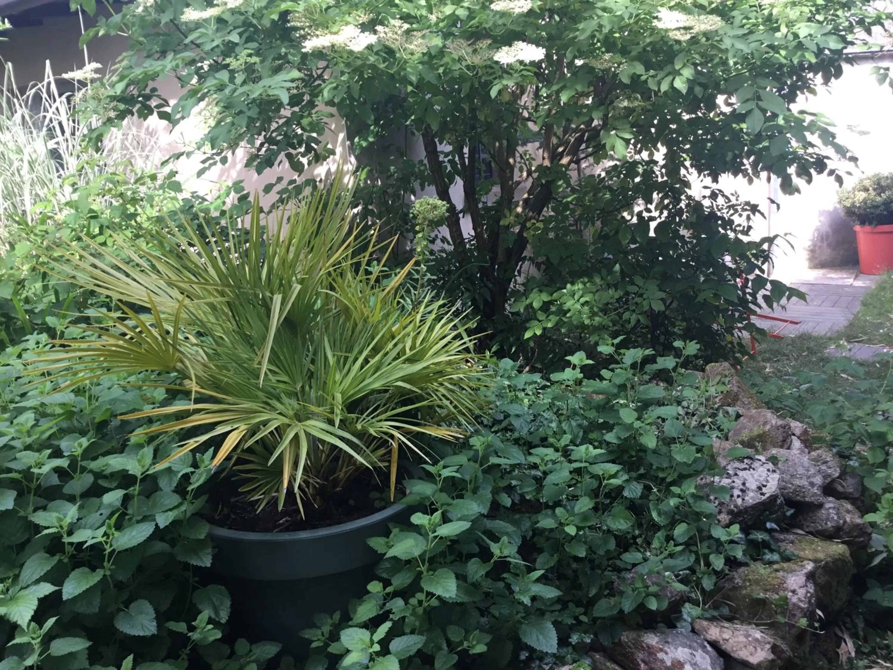 Garden in Maisonnette Nantes