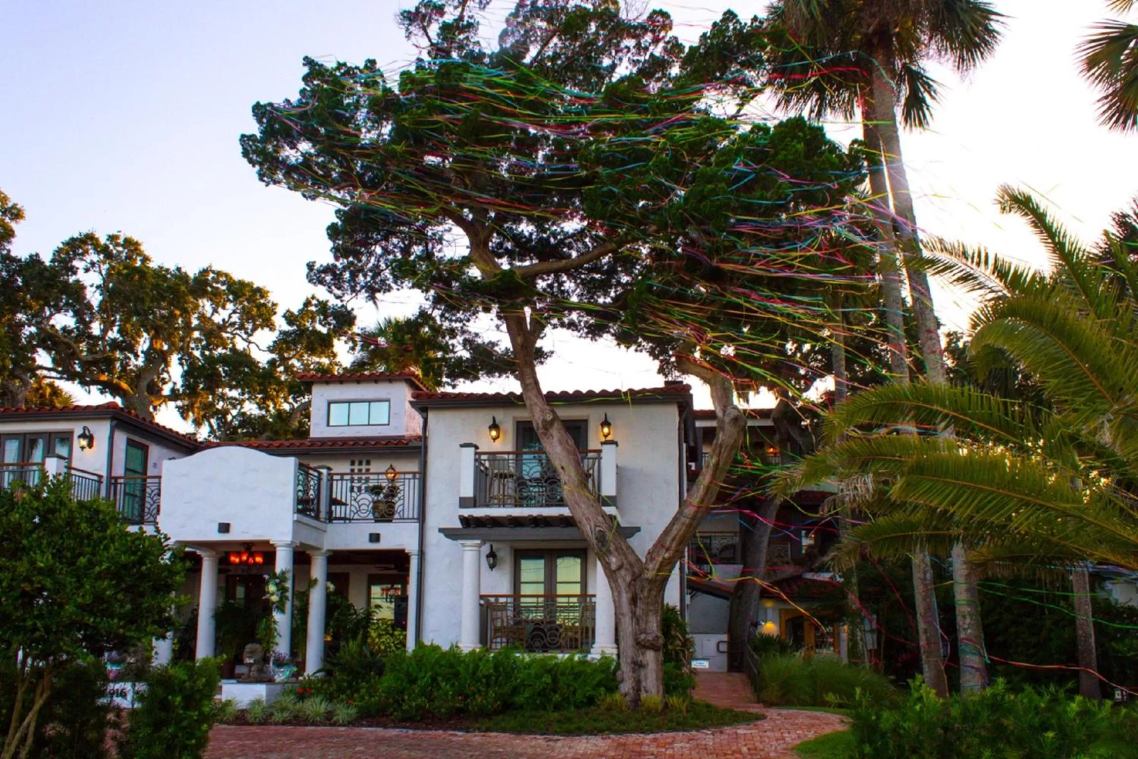 Balcony/Terrace in Black Dolphin Inn