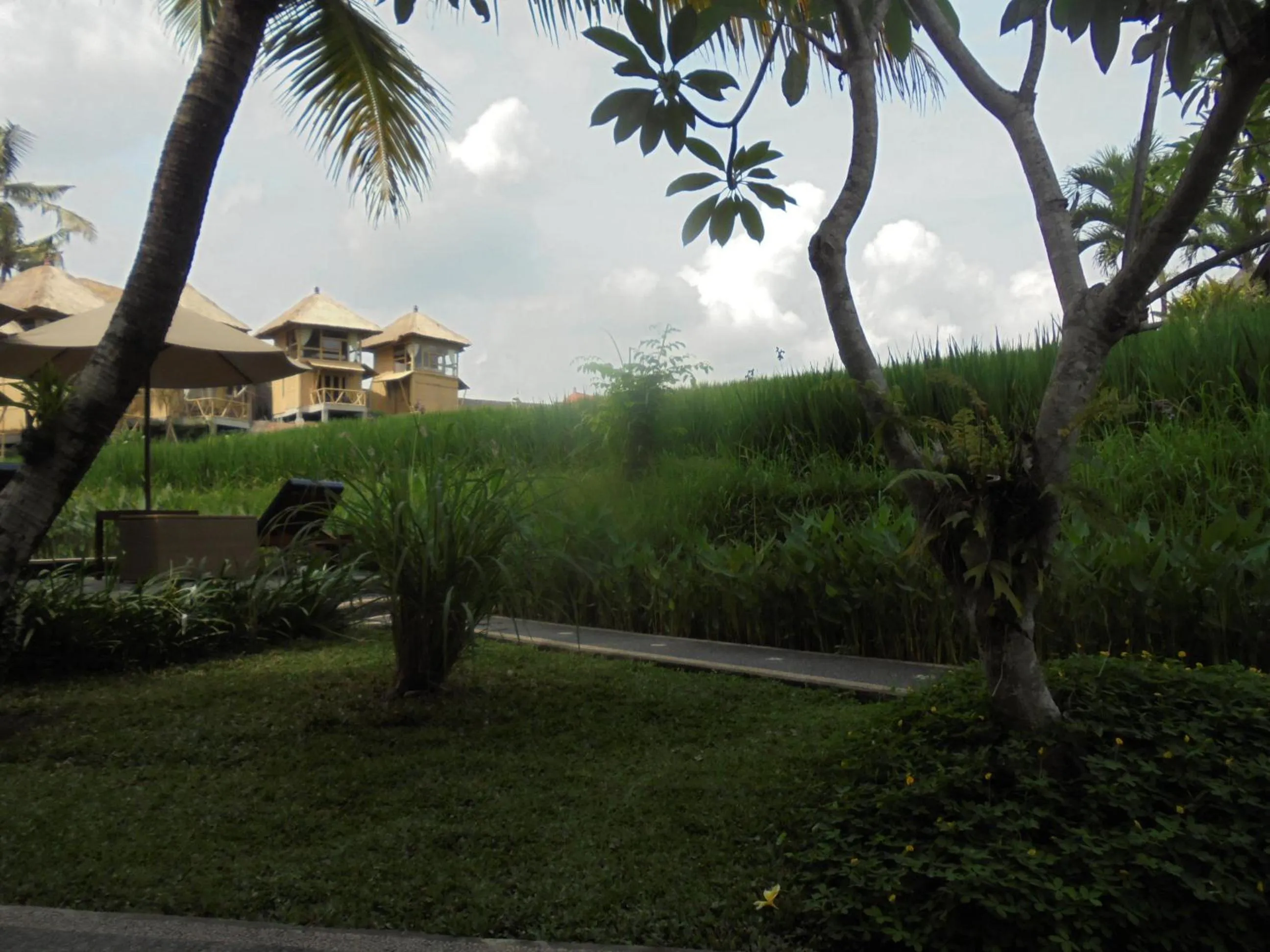 Natural landscape in Biyukukung Suite & Spa