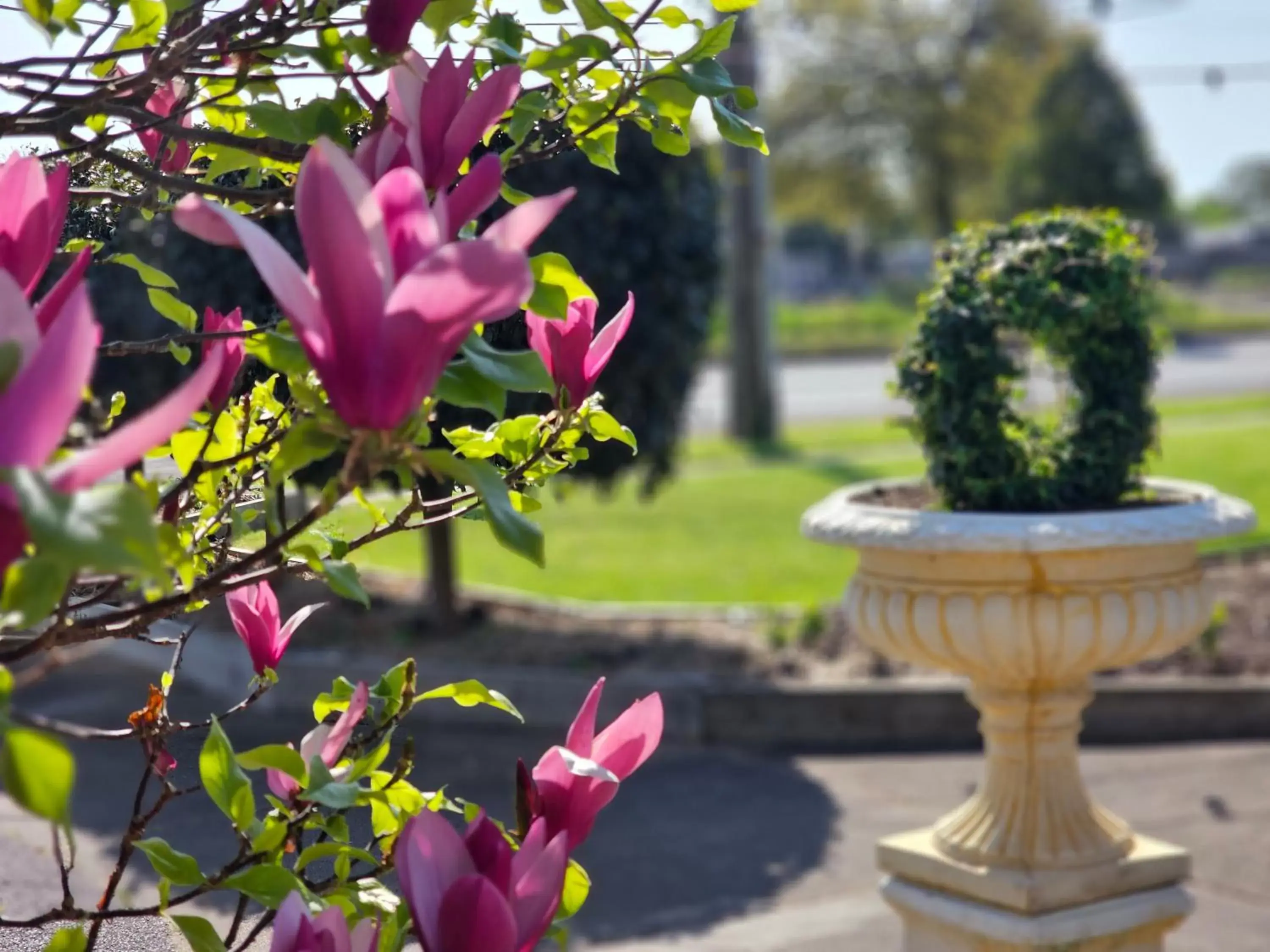 Hamilton Lakeside Motel Hamilton Lakeside Motel