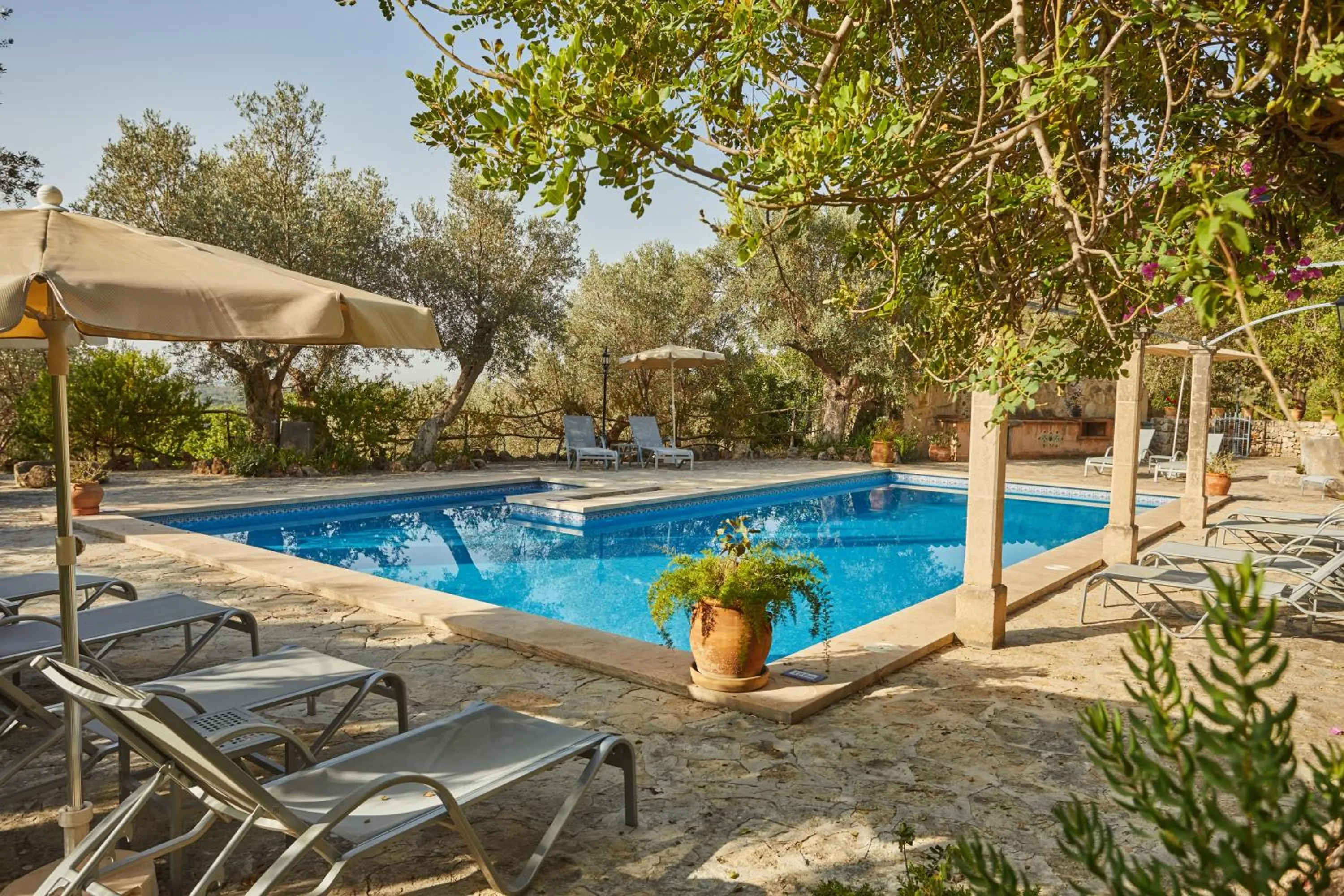 Swimming pool in Agroturismo Alquería Blanca