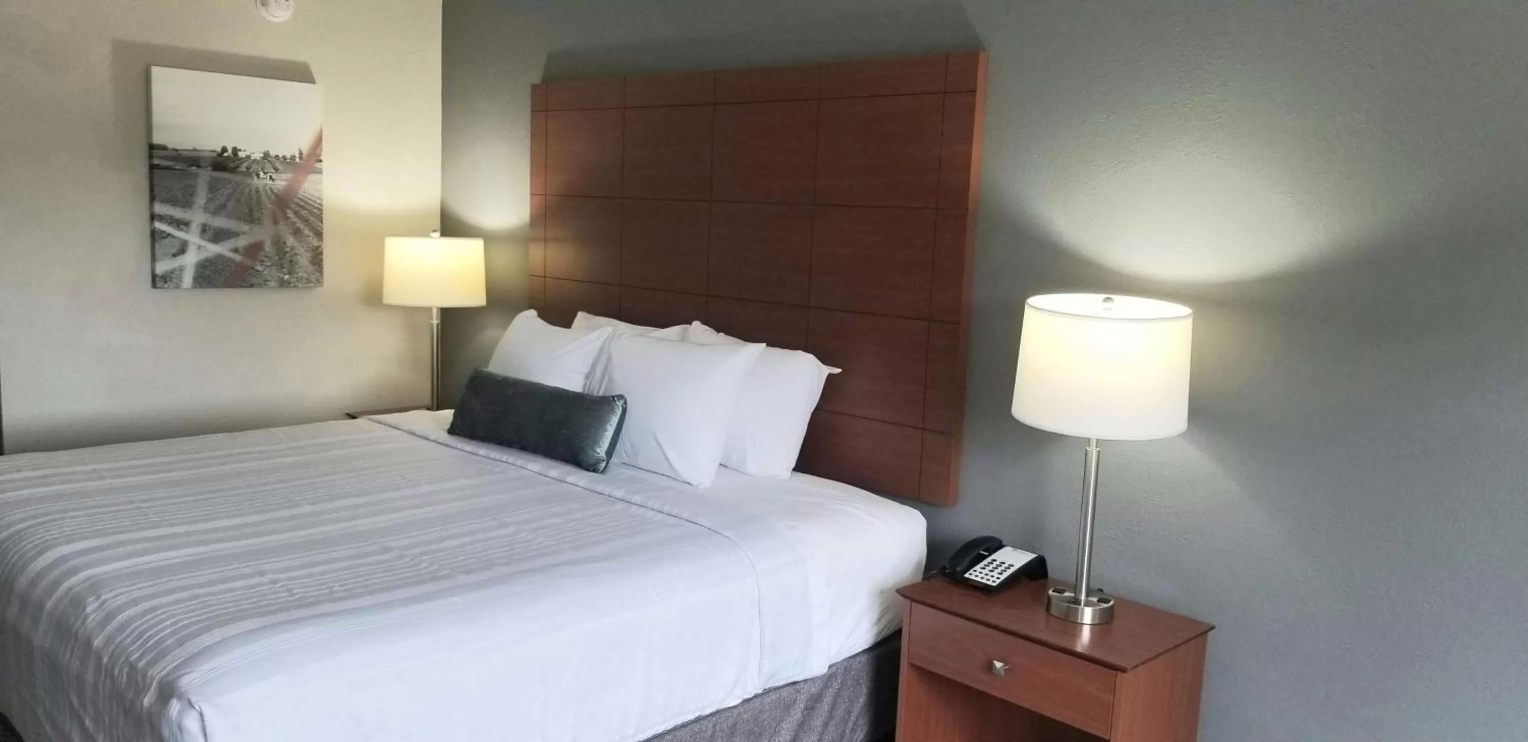 King Room with Mobility Accessible Tub in Best Western Lexington Inn