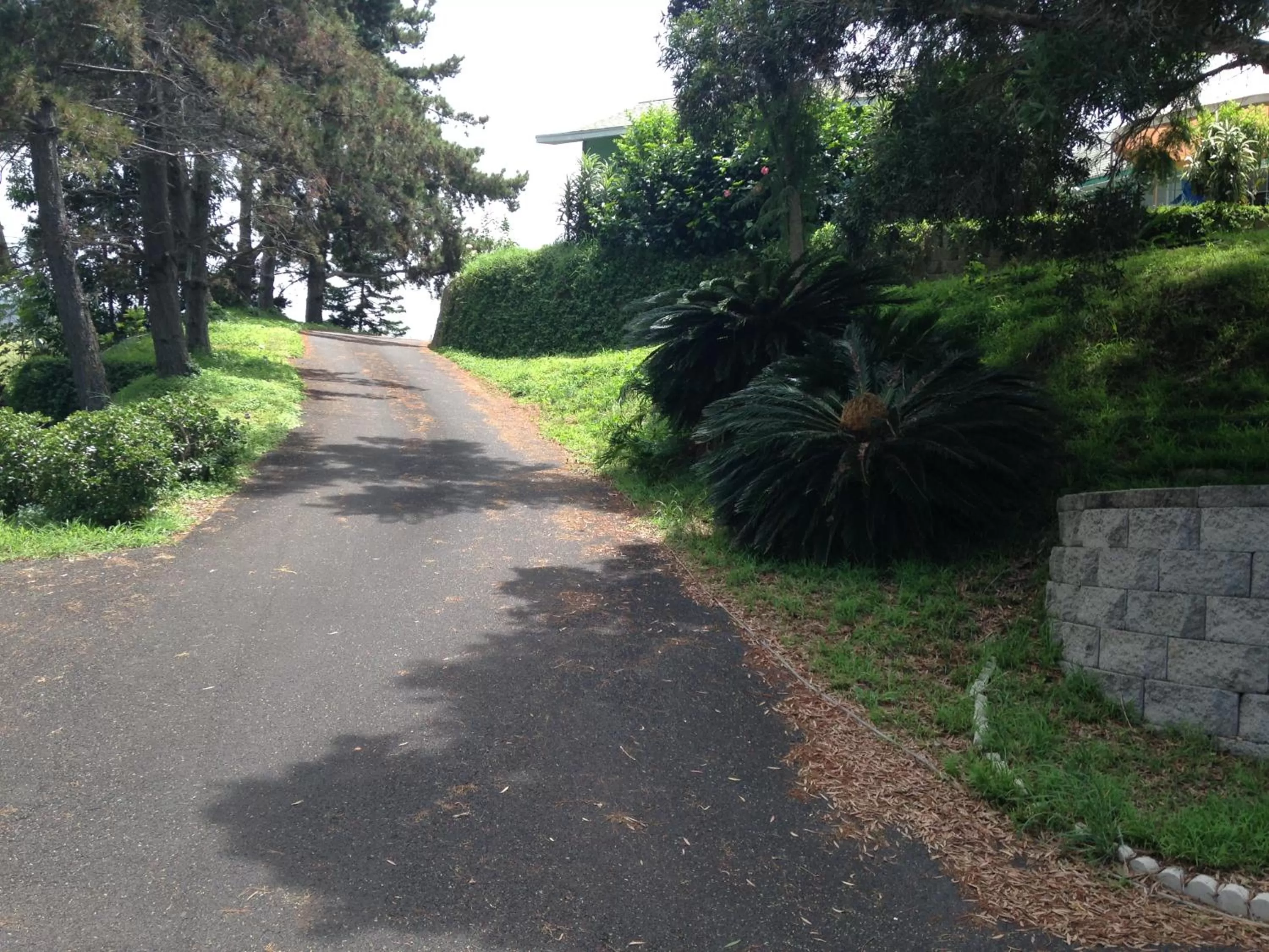 Street view, Garden in Ha'le Kiana