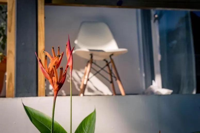 Property building in Somewhere