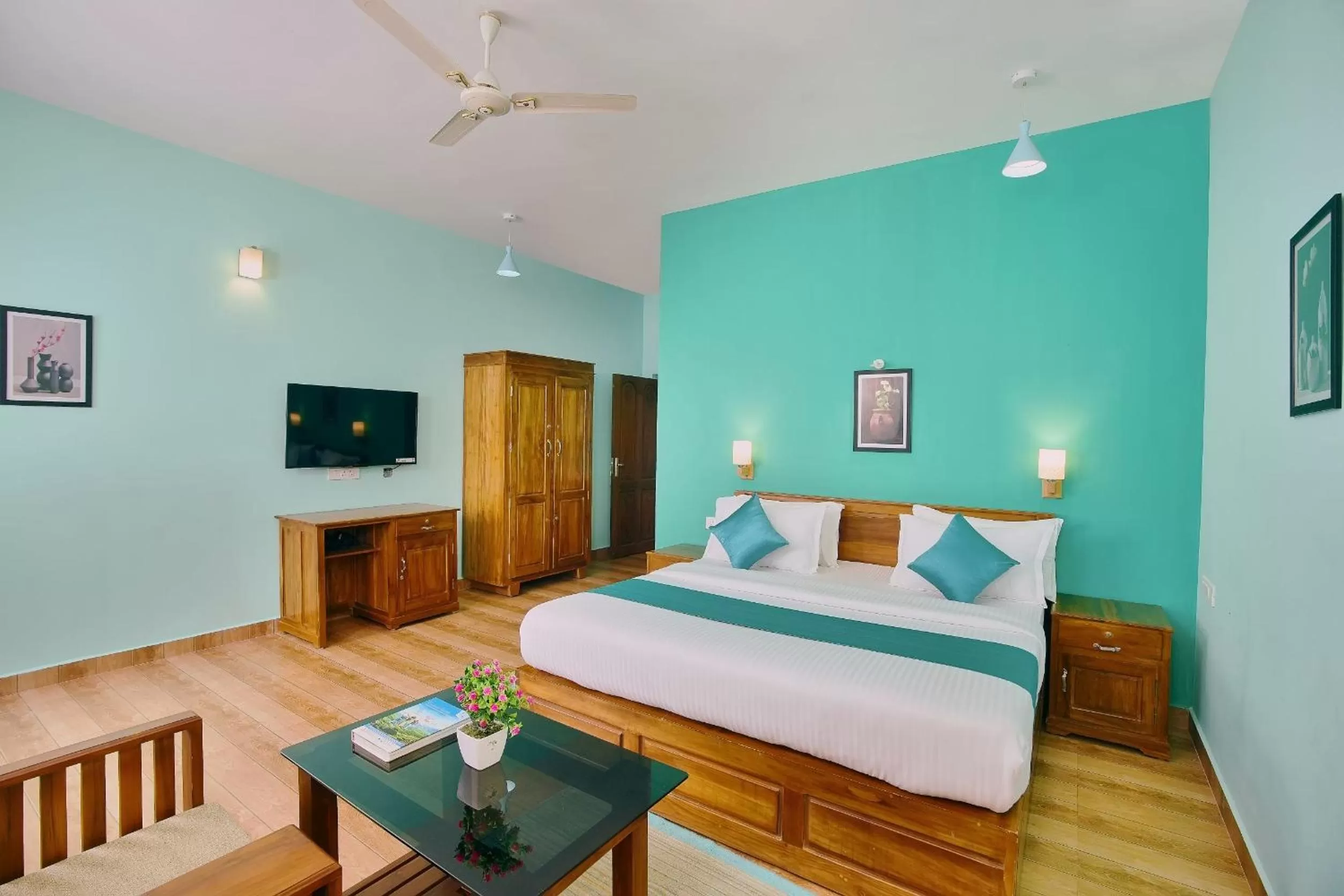 TV and multimedia in Zenha Resorts