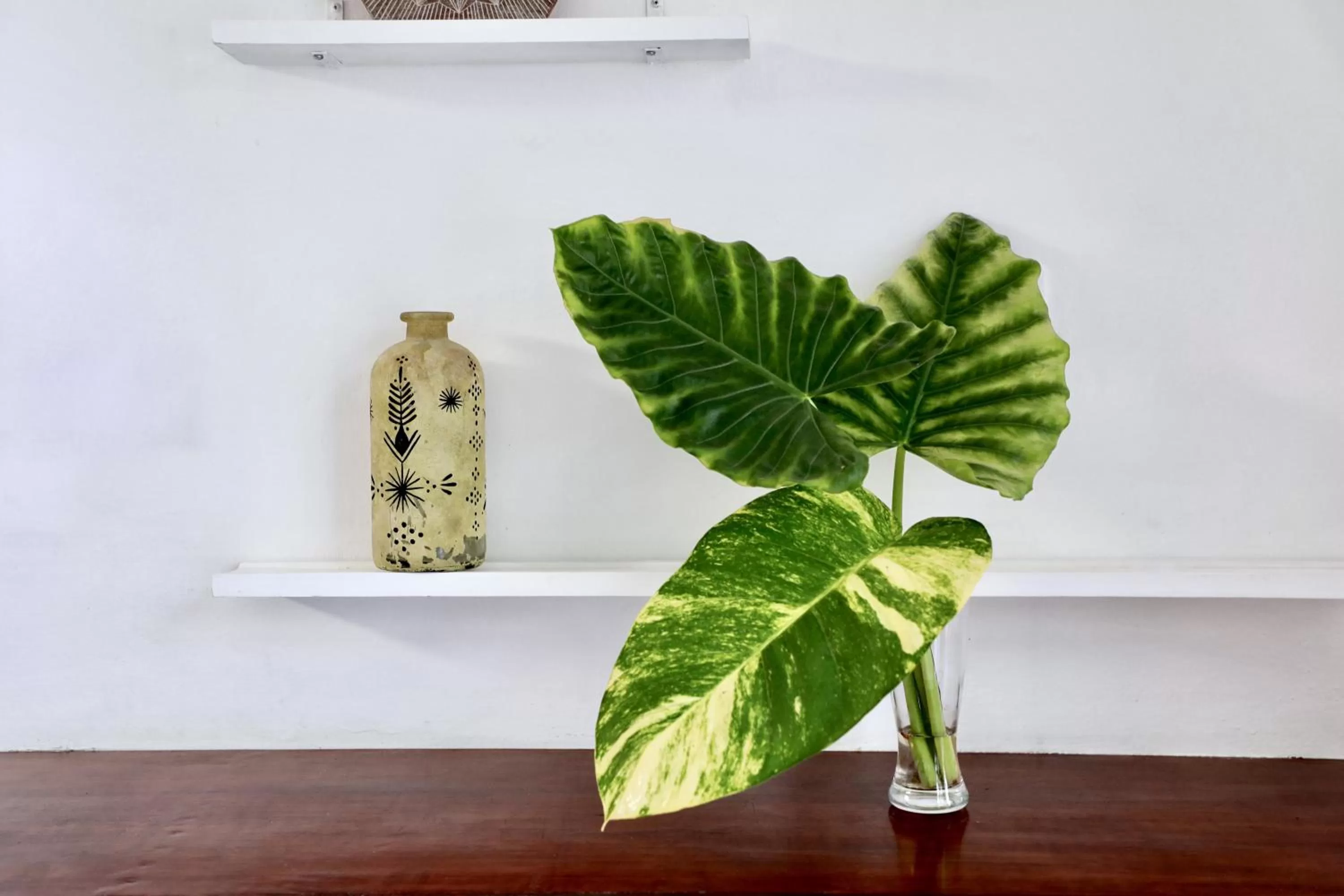 Decorative detail in Residencia Gorila