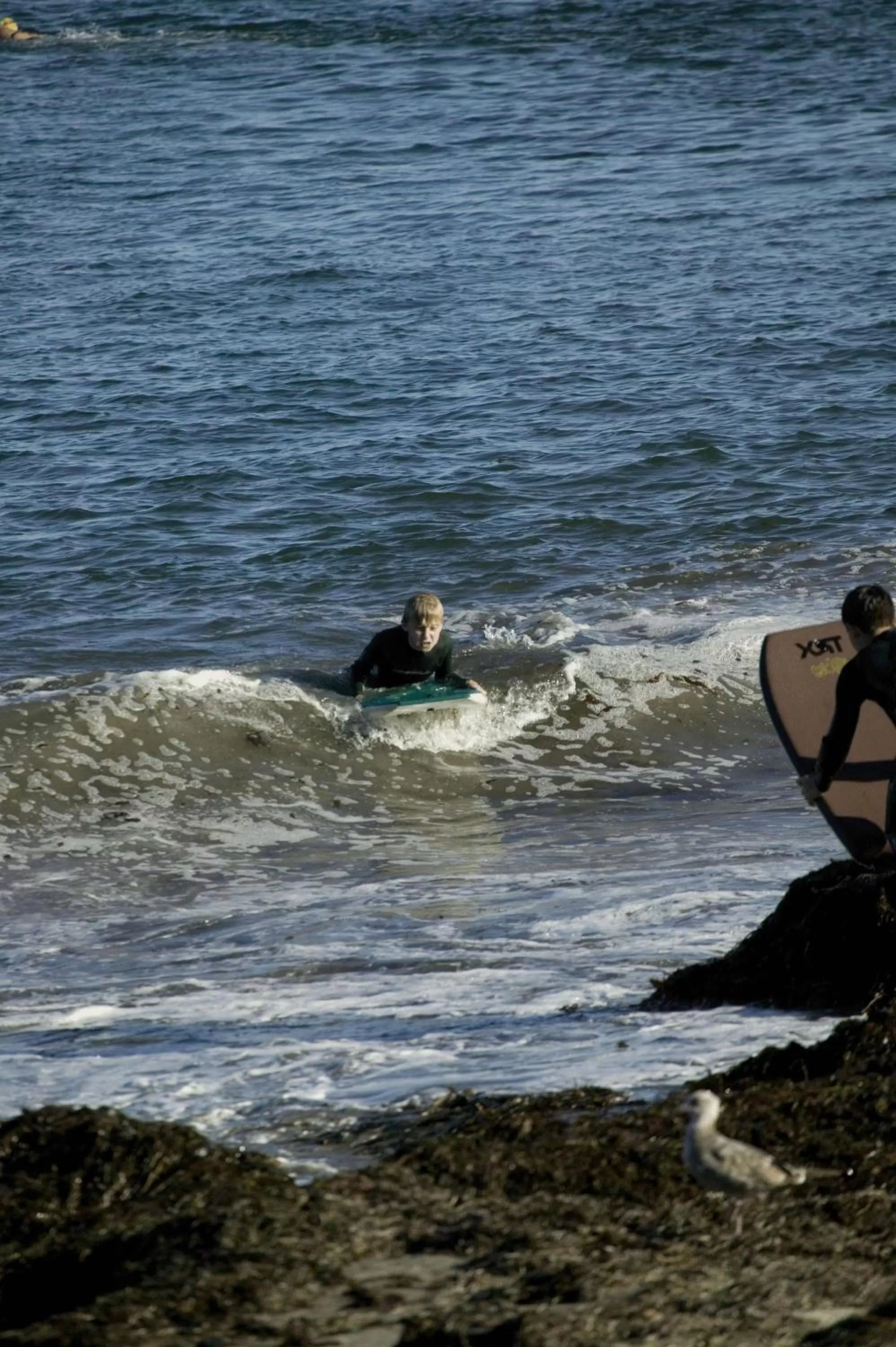 View (from property/room) in West Cliff Inn, A Four Sisters Inn