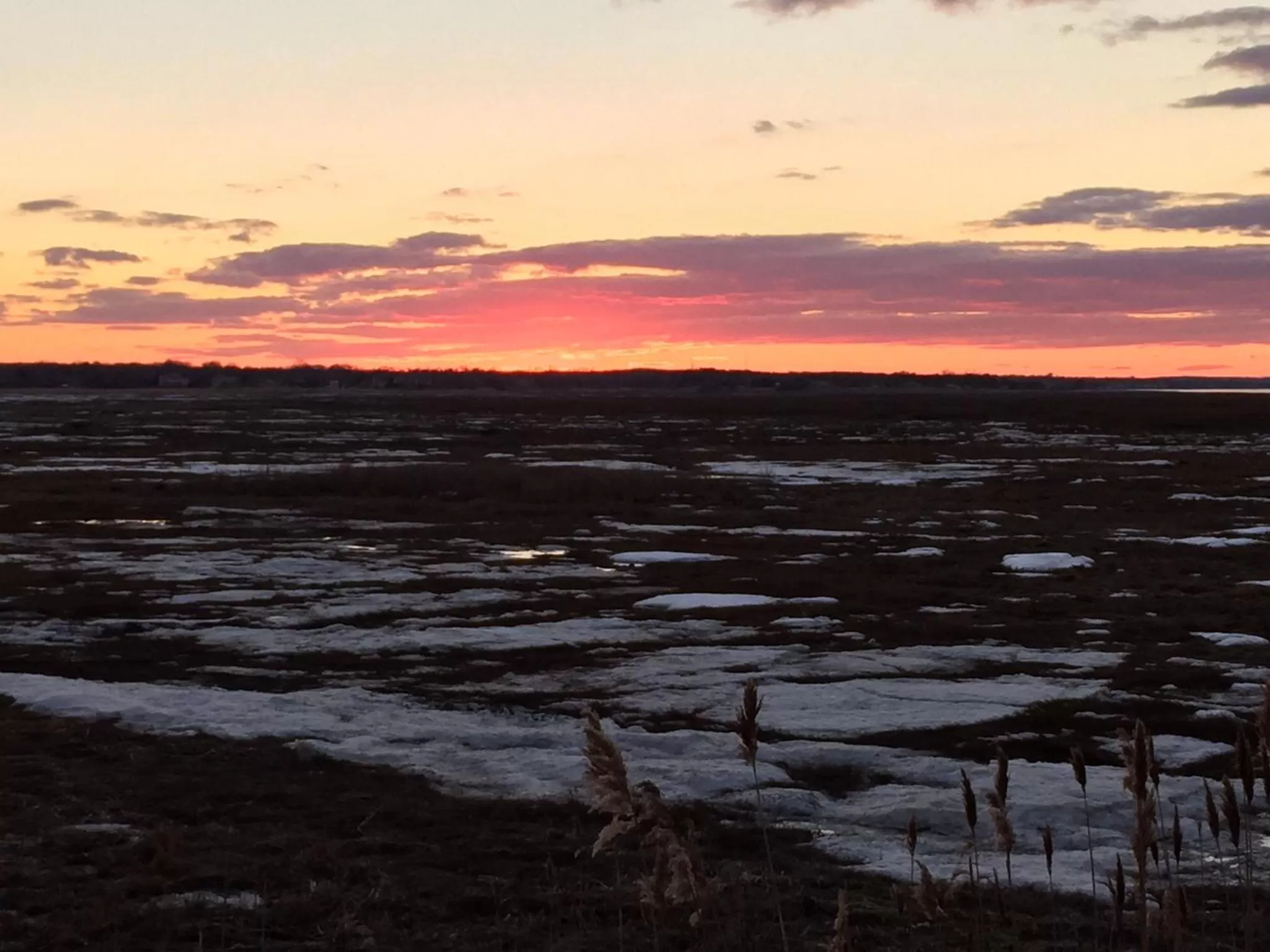 Nearby landmark in Village Inn
