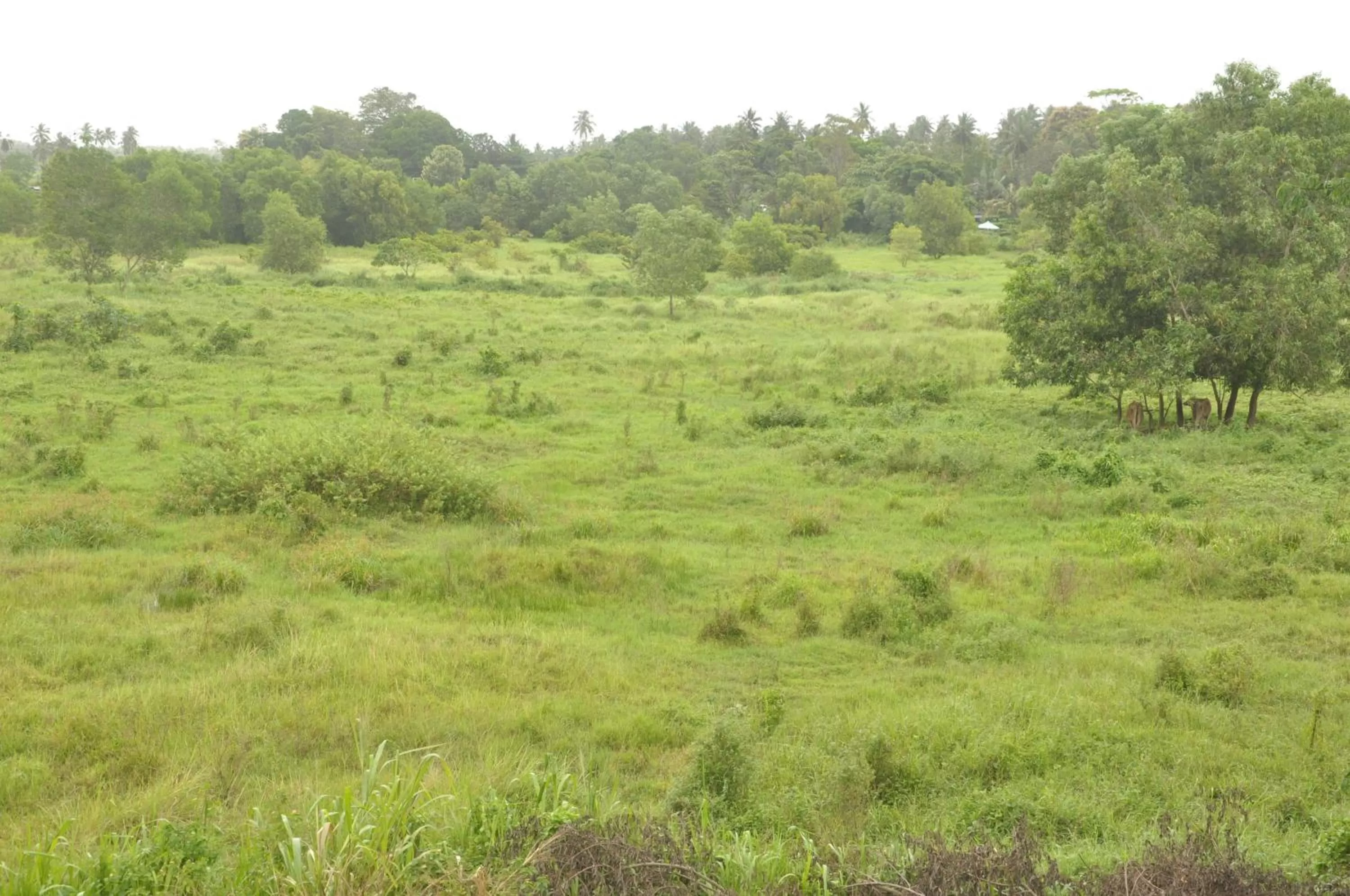 View (from property/room) in Otha Shy Airport Transit Hotel