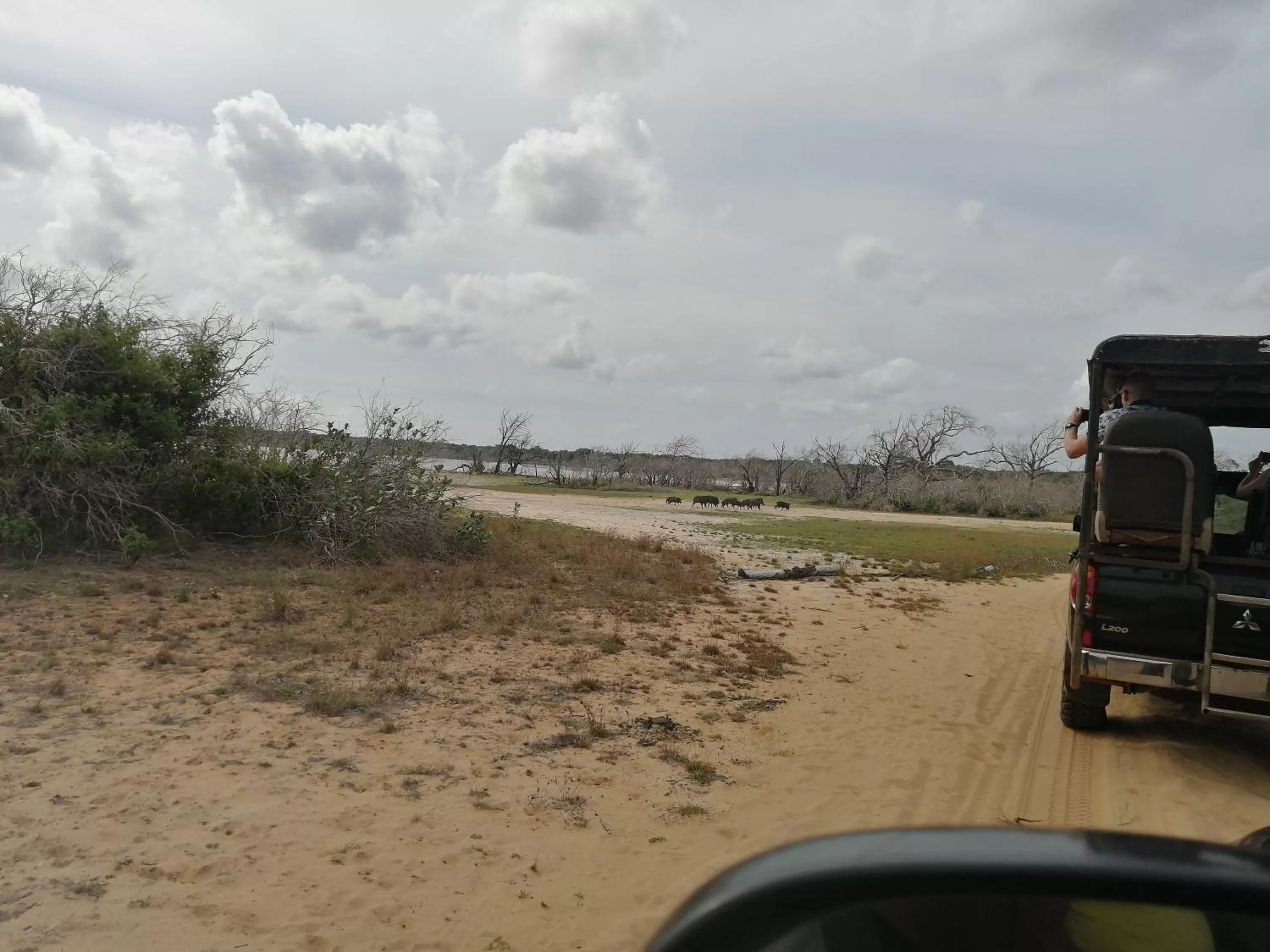 Beach in Green Cottage