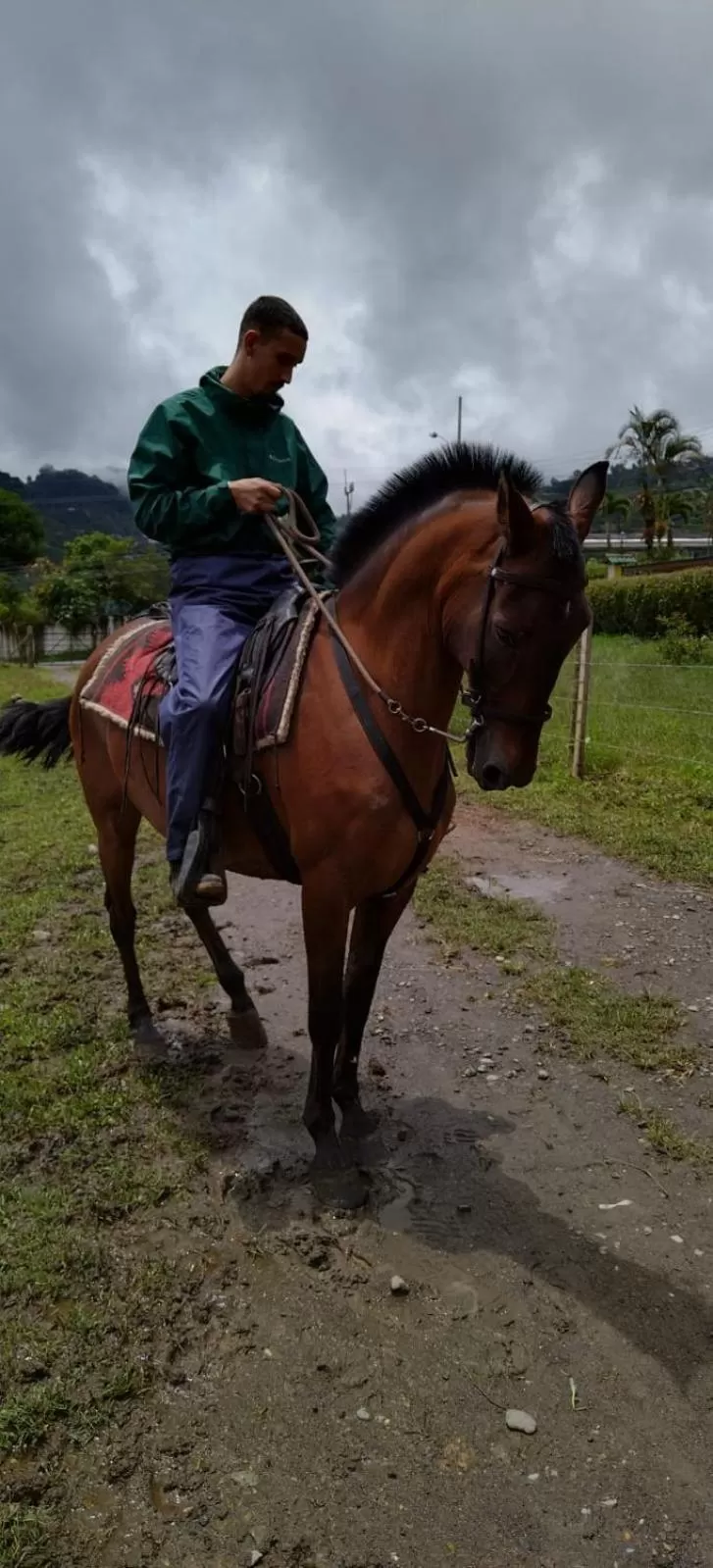 Horseback Riding in The Lodge at Reventazon River Mountain Ranch