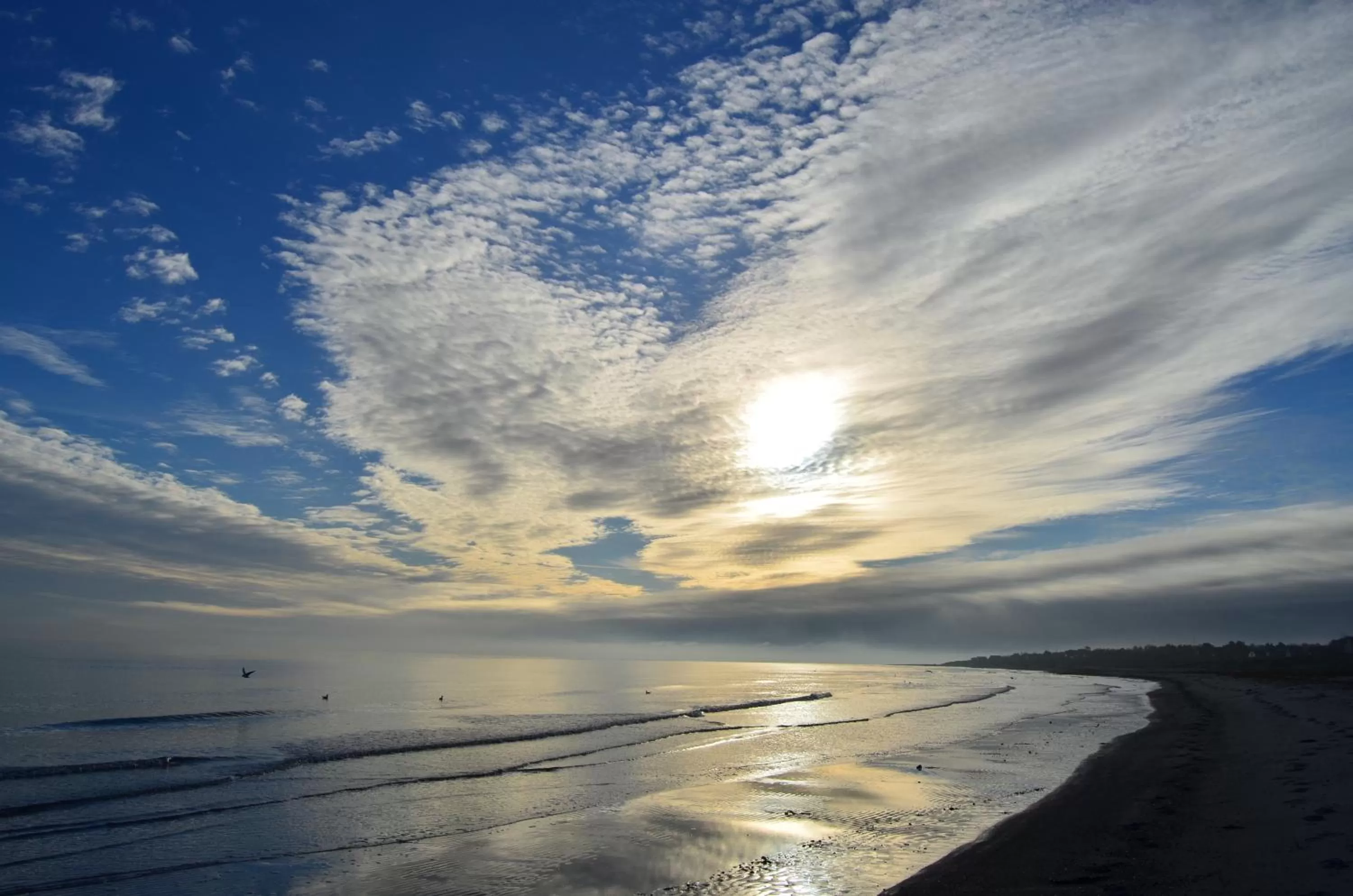 Beach in Kysthotellet