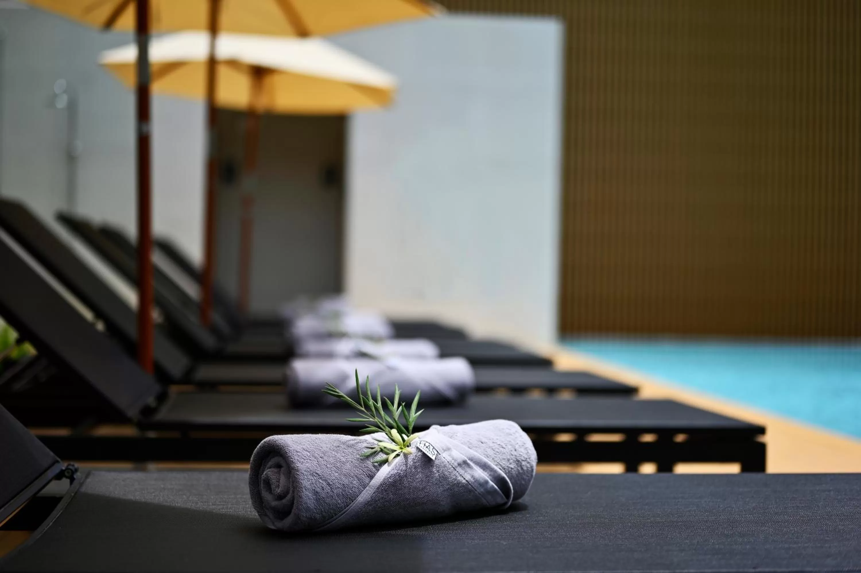 Swimming pool in Has Pattaya