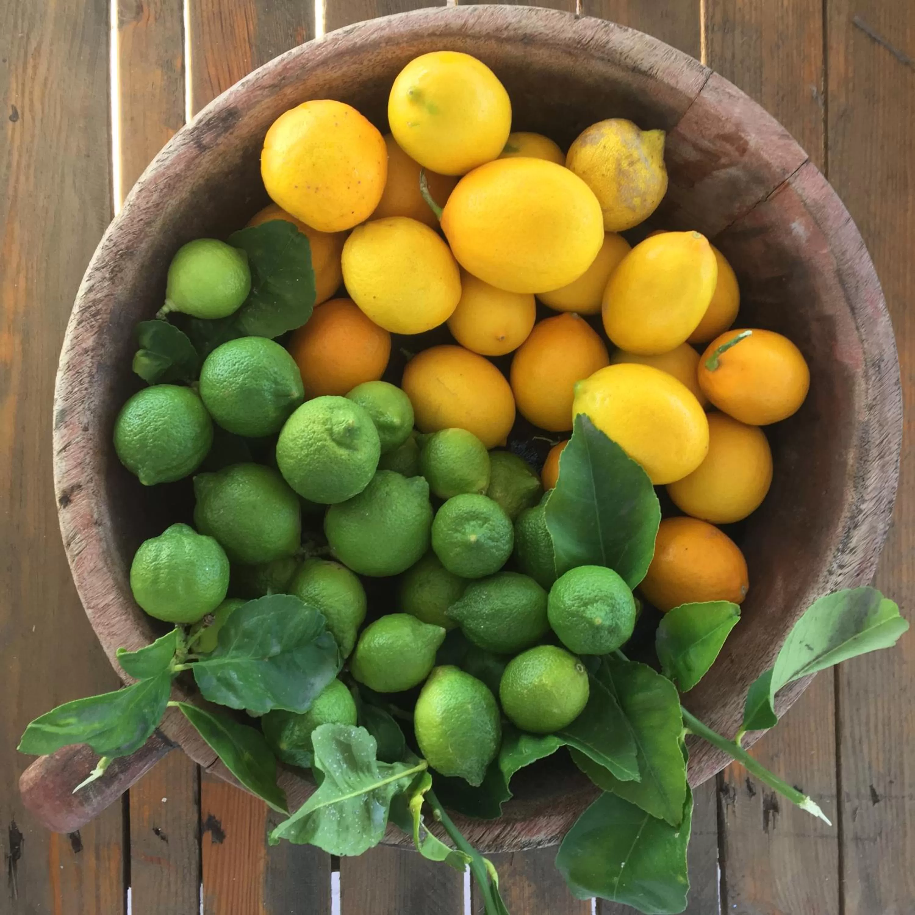 Vila Rahmi & Veli Dervishaj