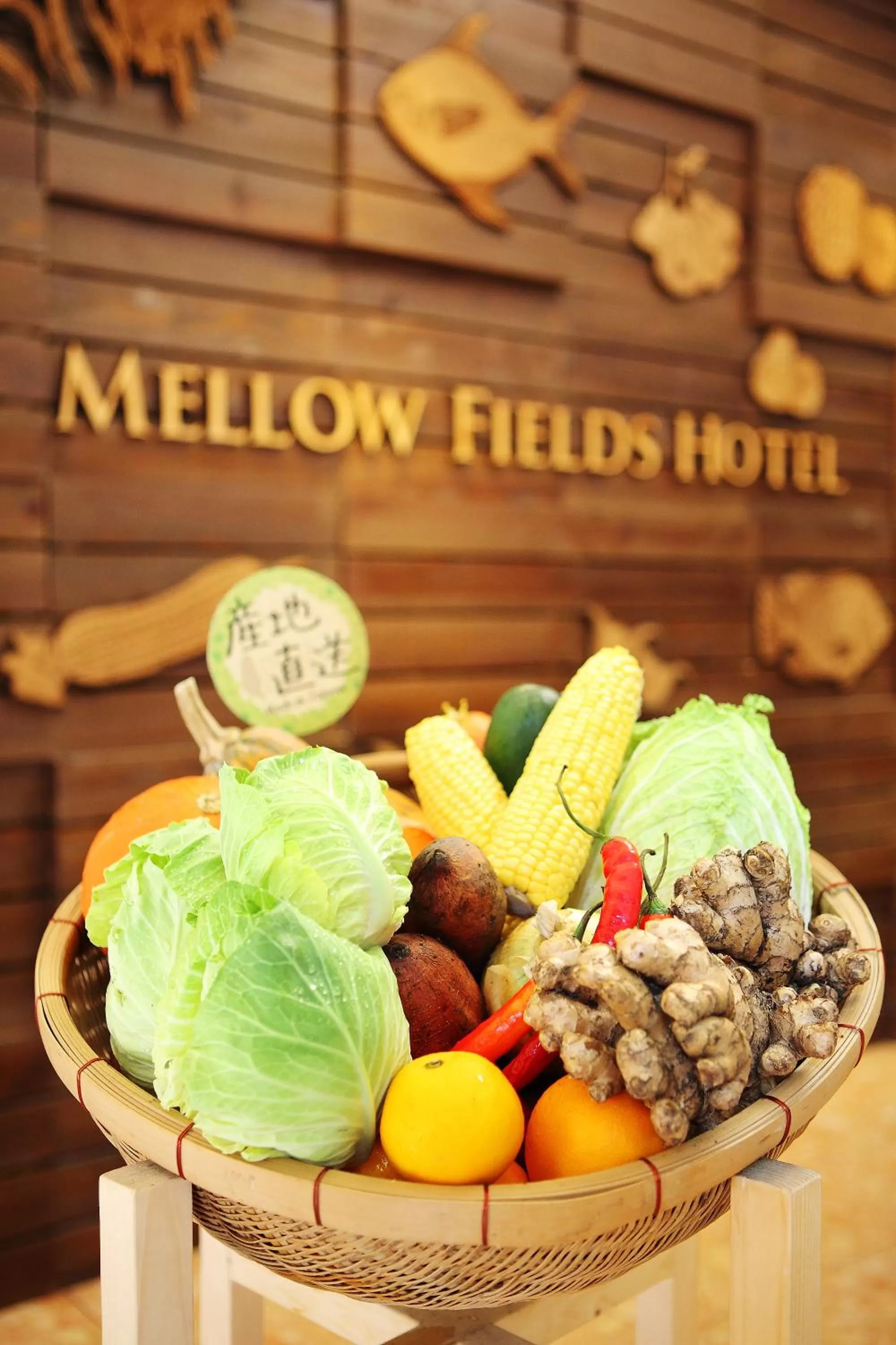 Other in Mellow Fields Hotel