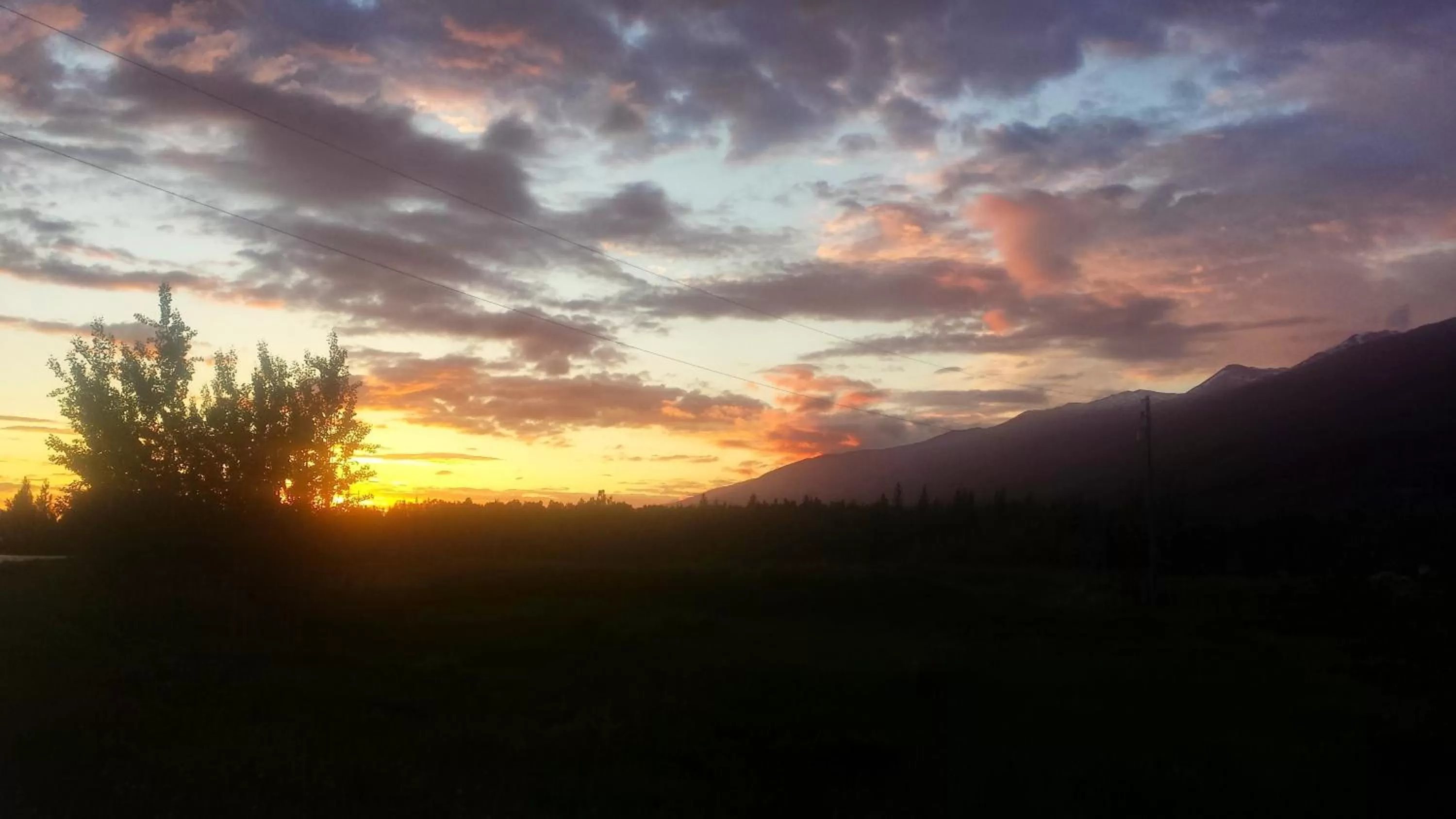 Area and facilities in Travelodge by Wyndham McBride