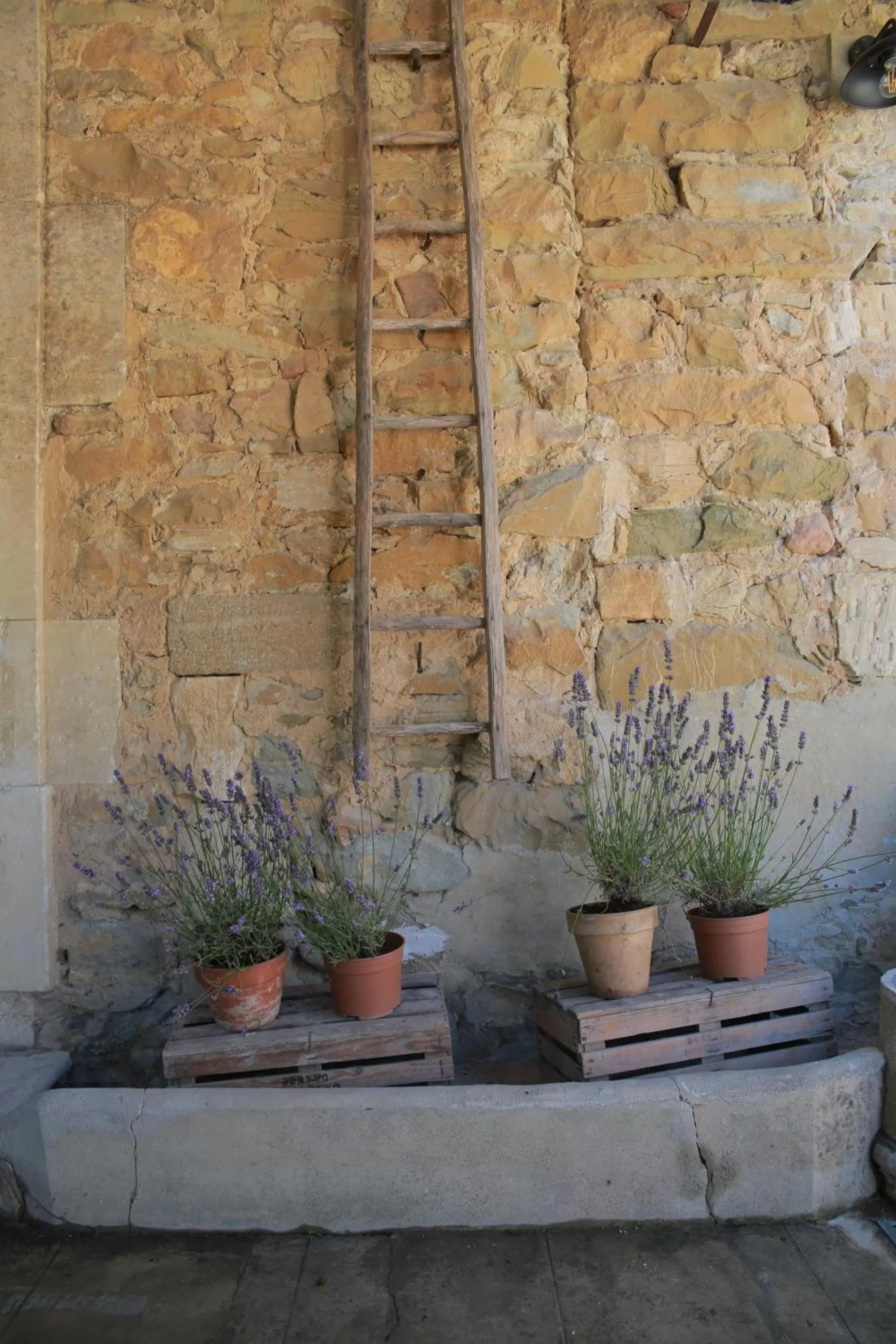 Property building in Les Yourtes de Provence