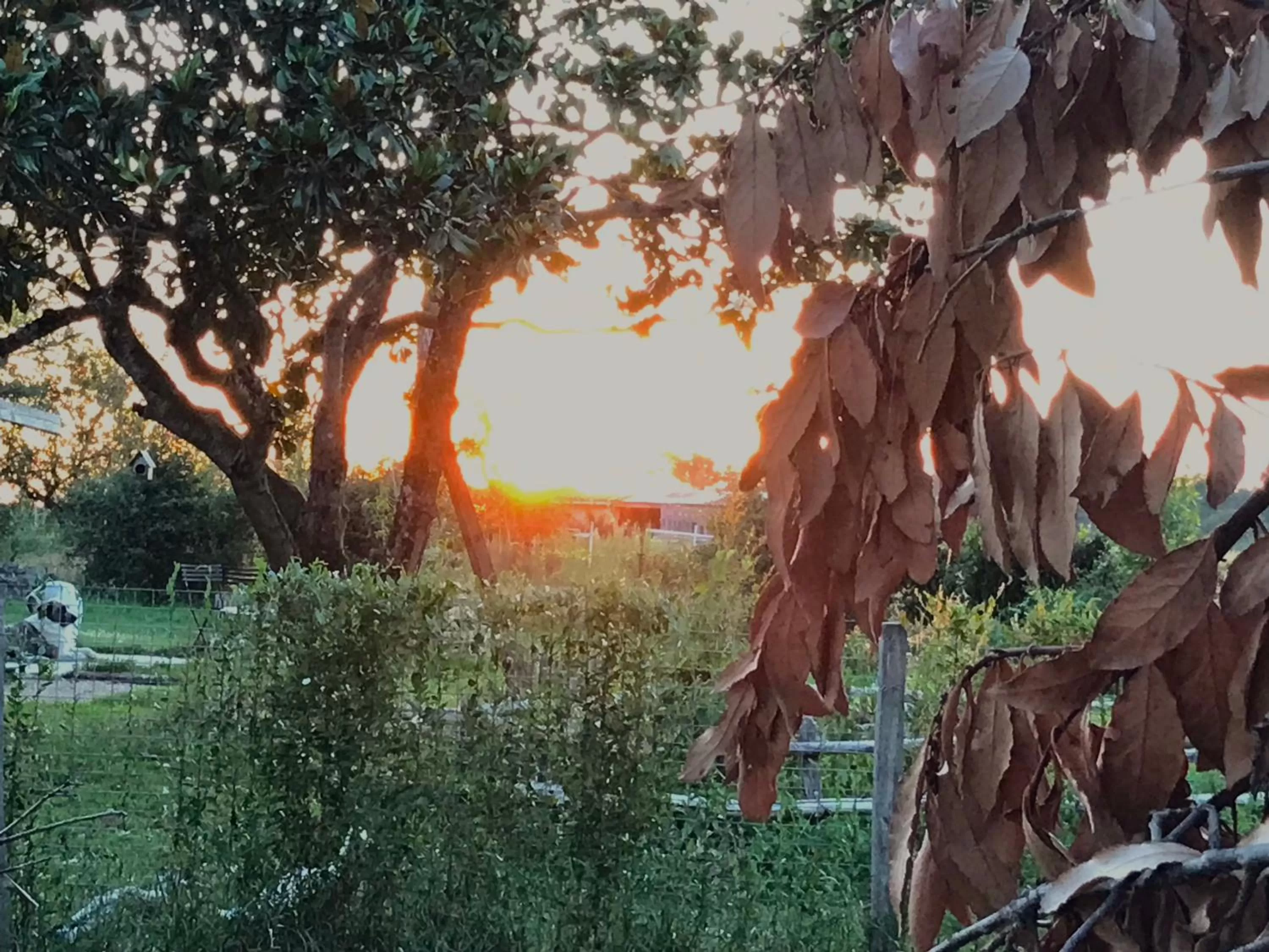 Chez Gustave & Compagnie