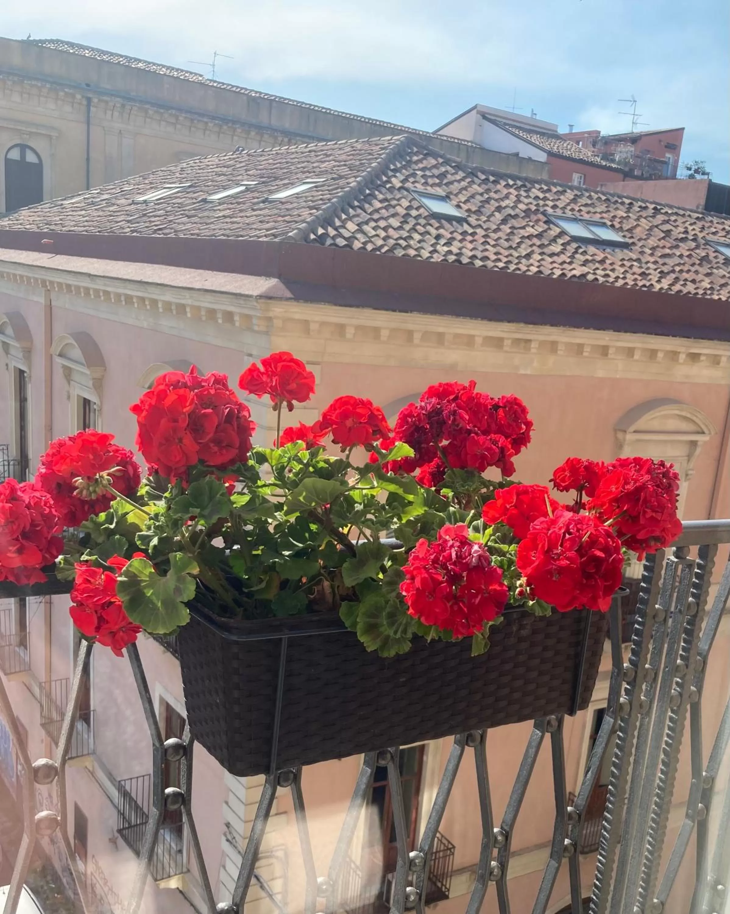 Balcony/Terrace in B&B Oriental Palace