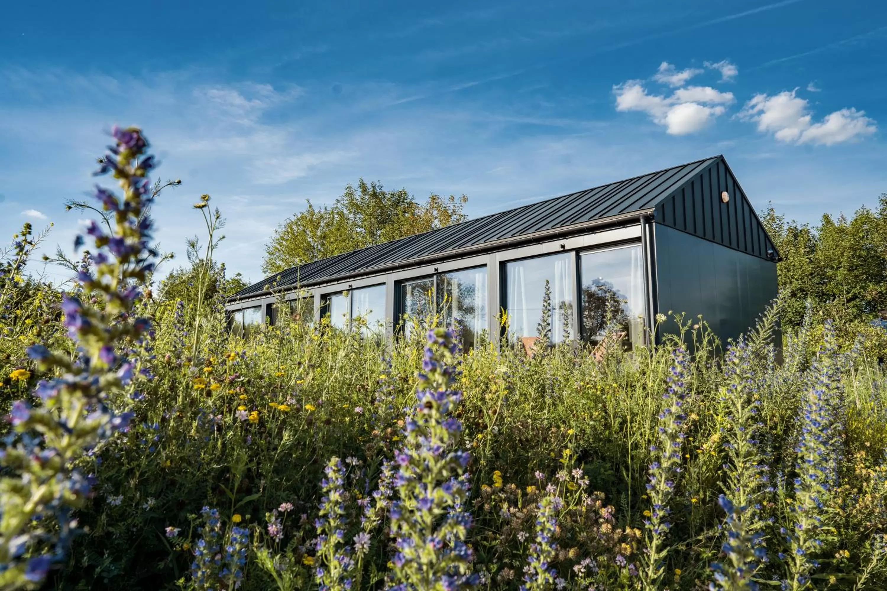 Property Building in Gościniec Na Rozdrożu