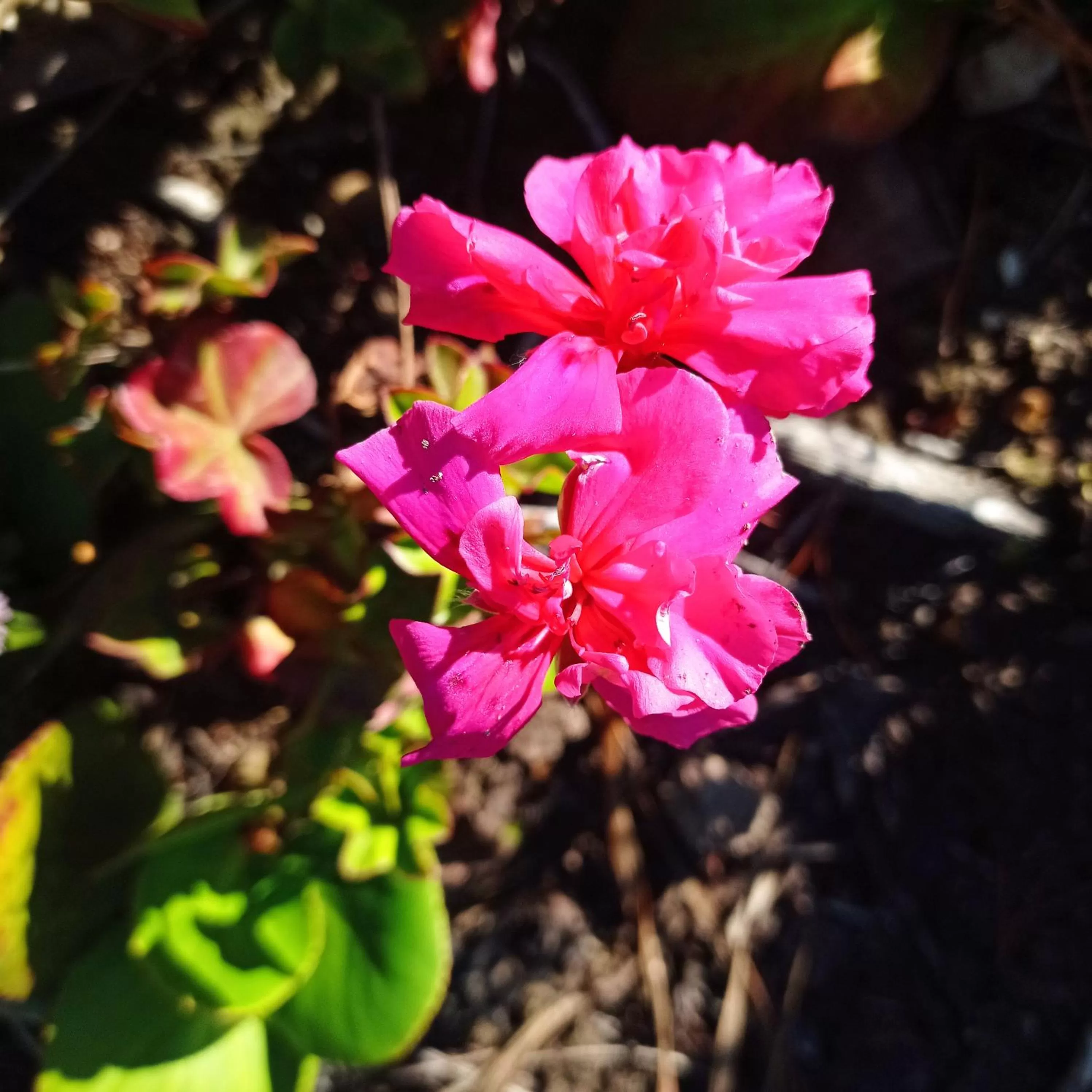 Hotel Refugio Pozo Azul