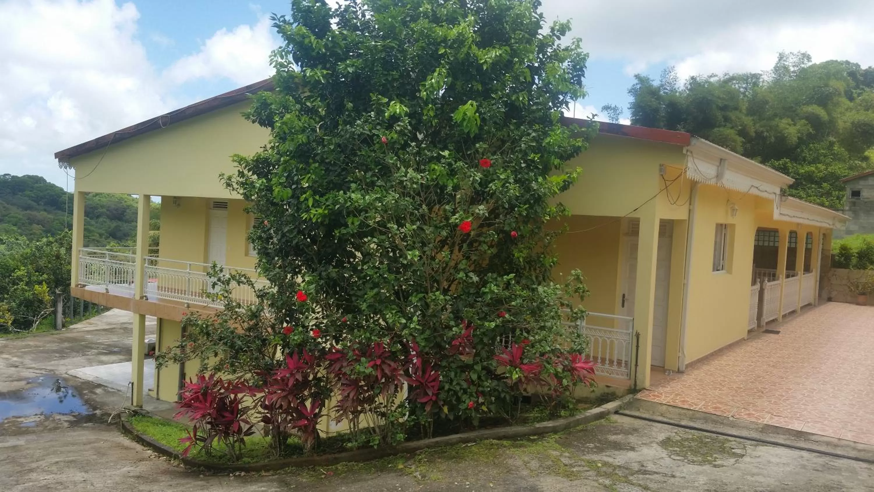 Property Building in L'Oliveraie