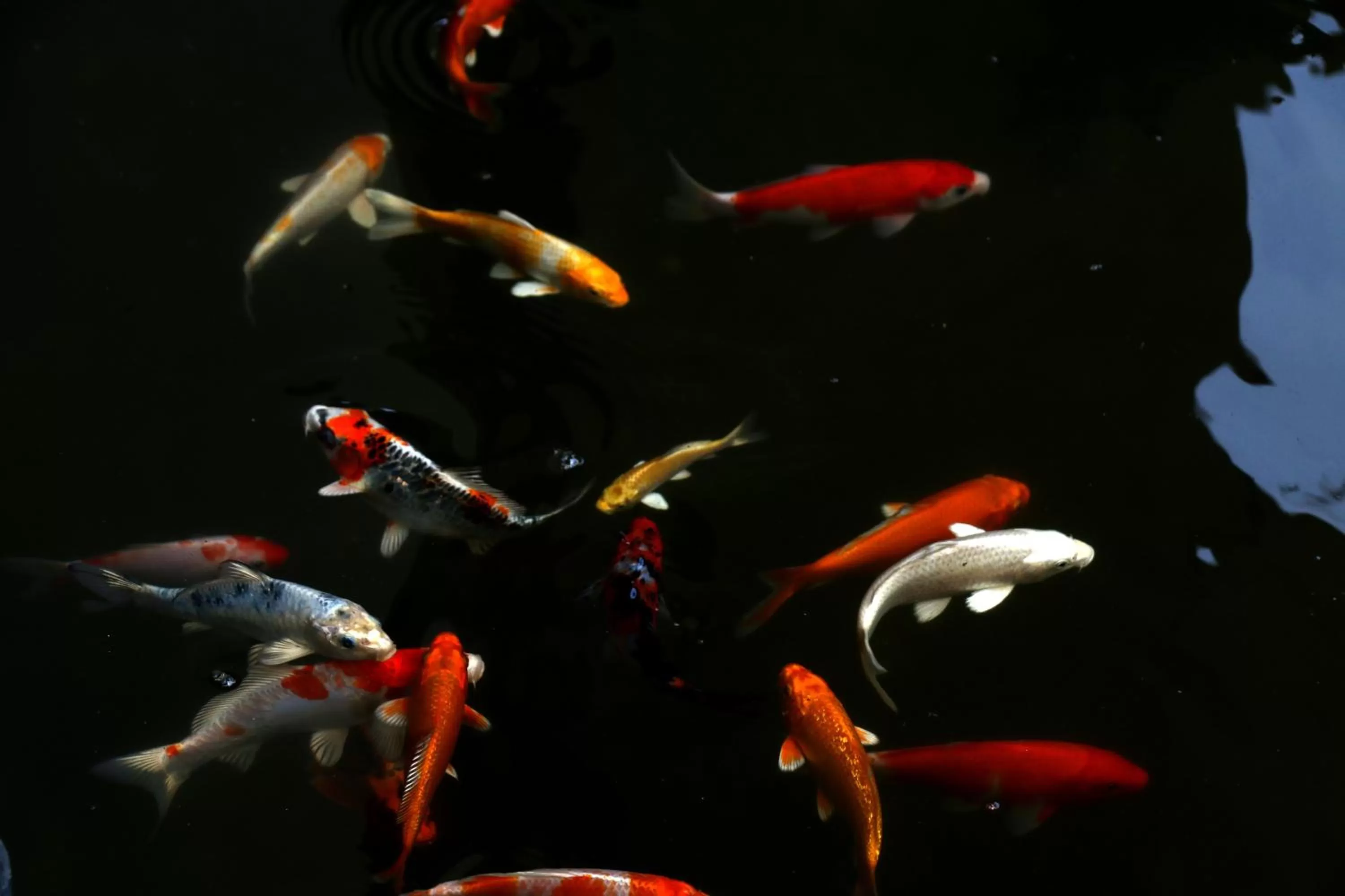 Lobby or reception in Riversoul Boutique