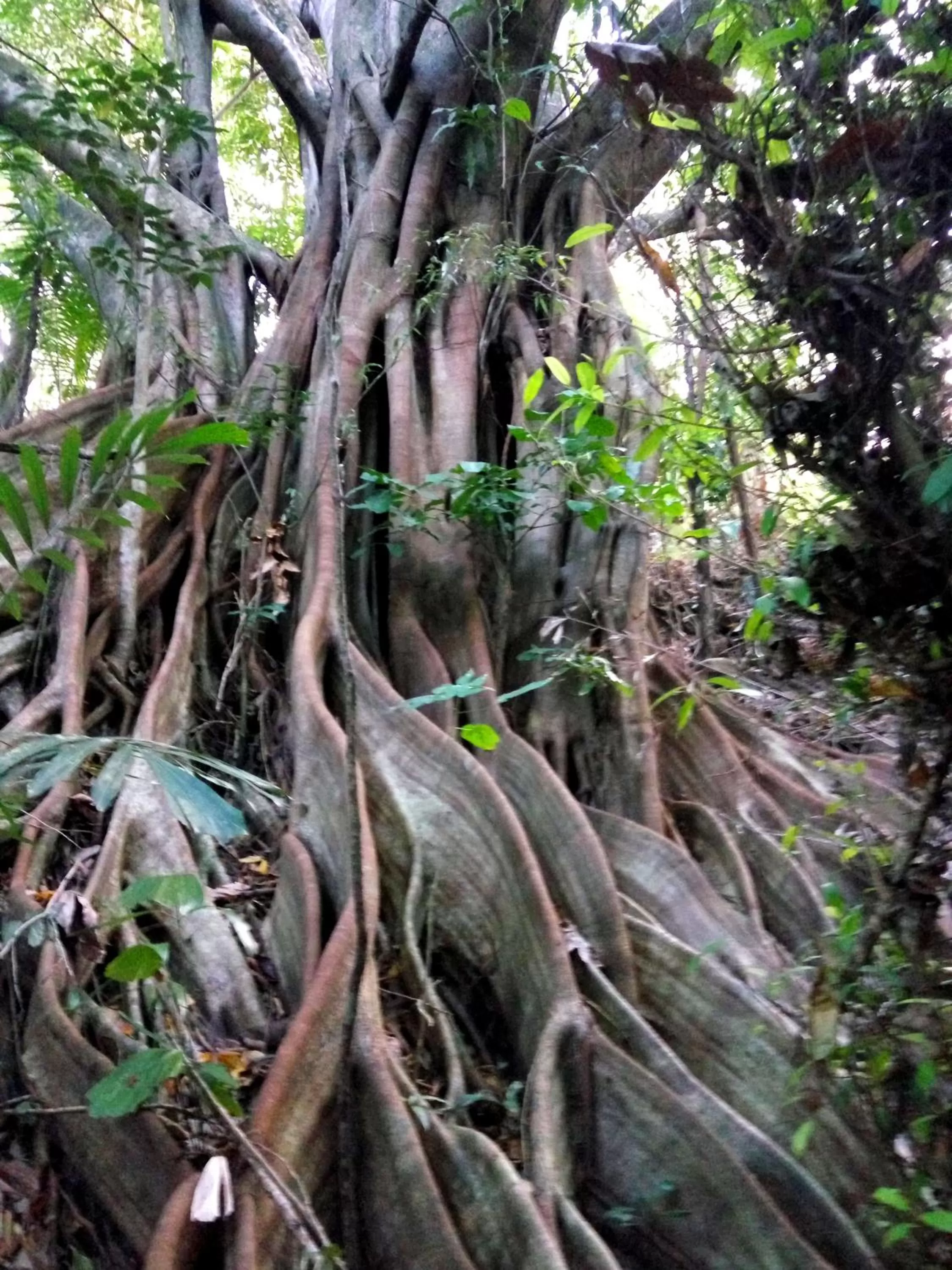 Hiking in Paseo Del Mar Seaside Inn