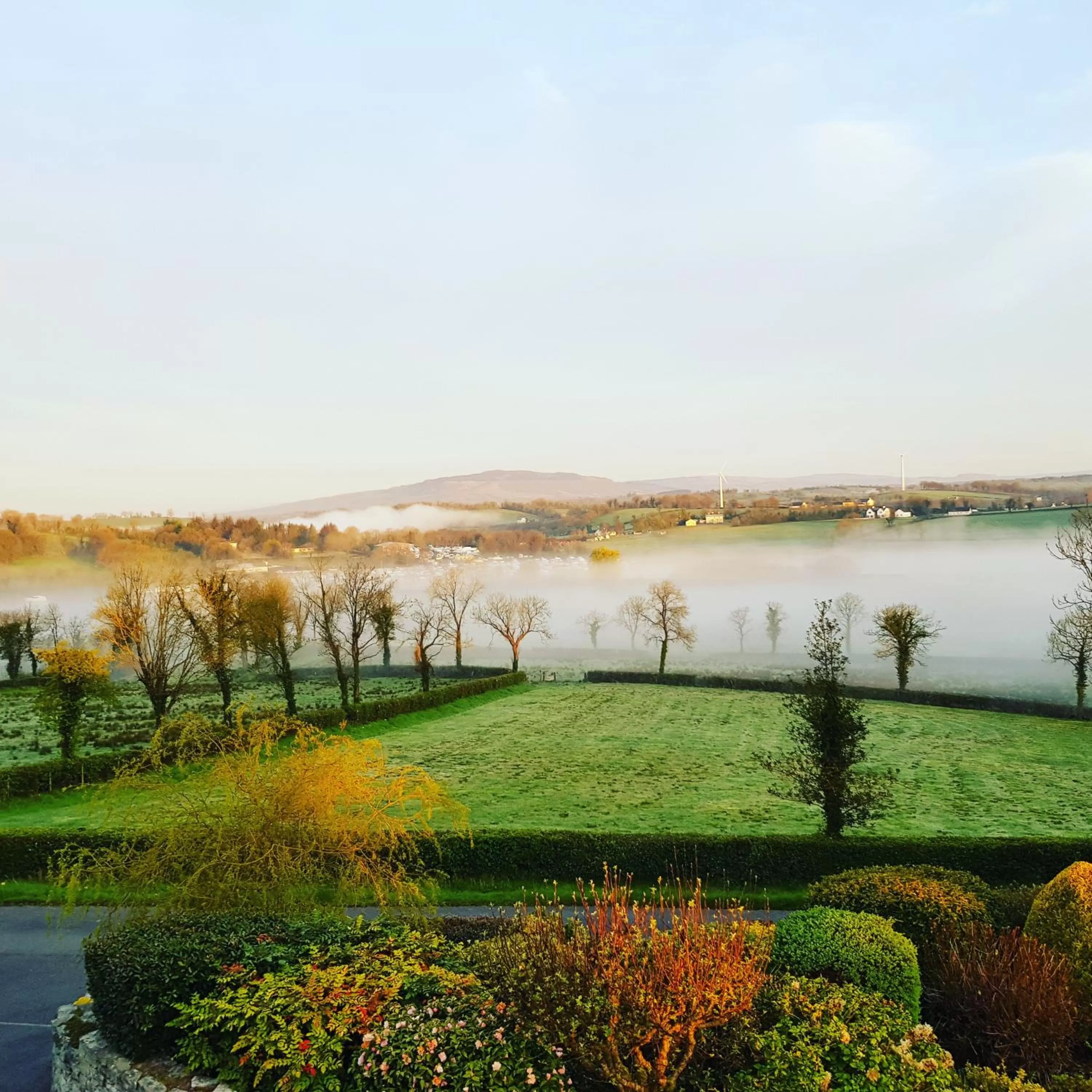 Garden in Willowbank House